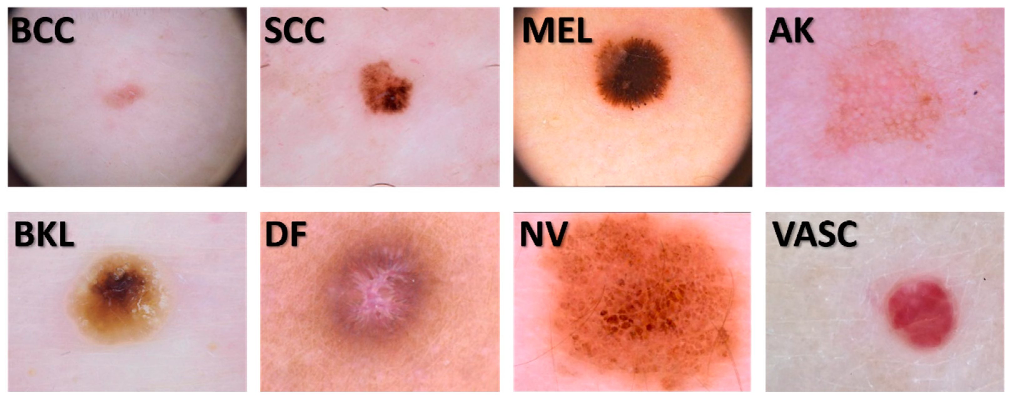 Preprints 85294 g001