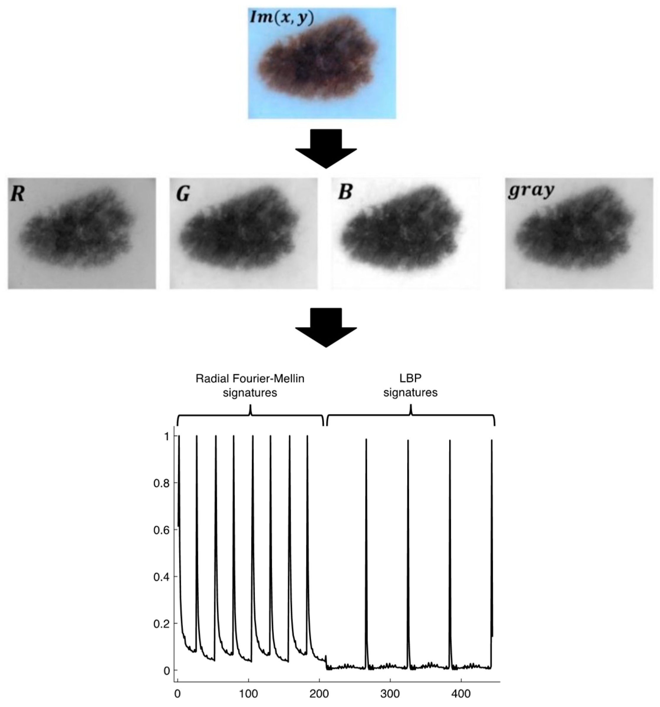 Preprints 85294 g002