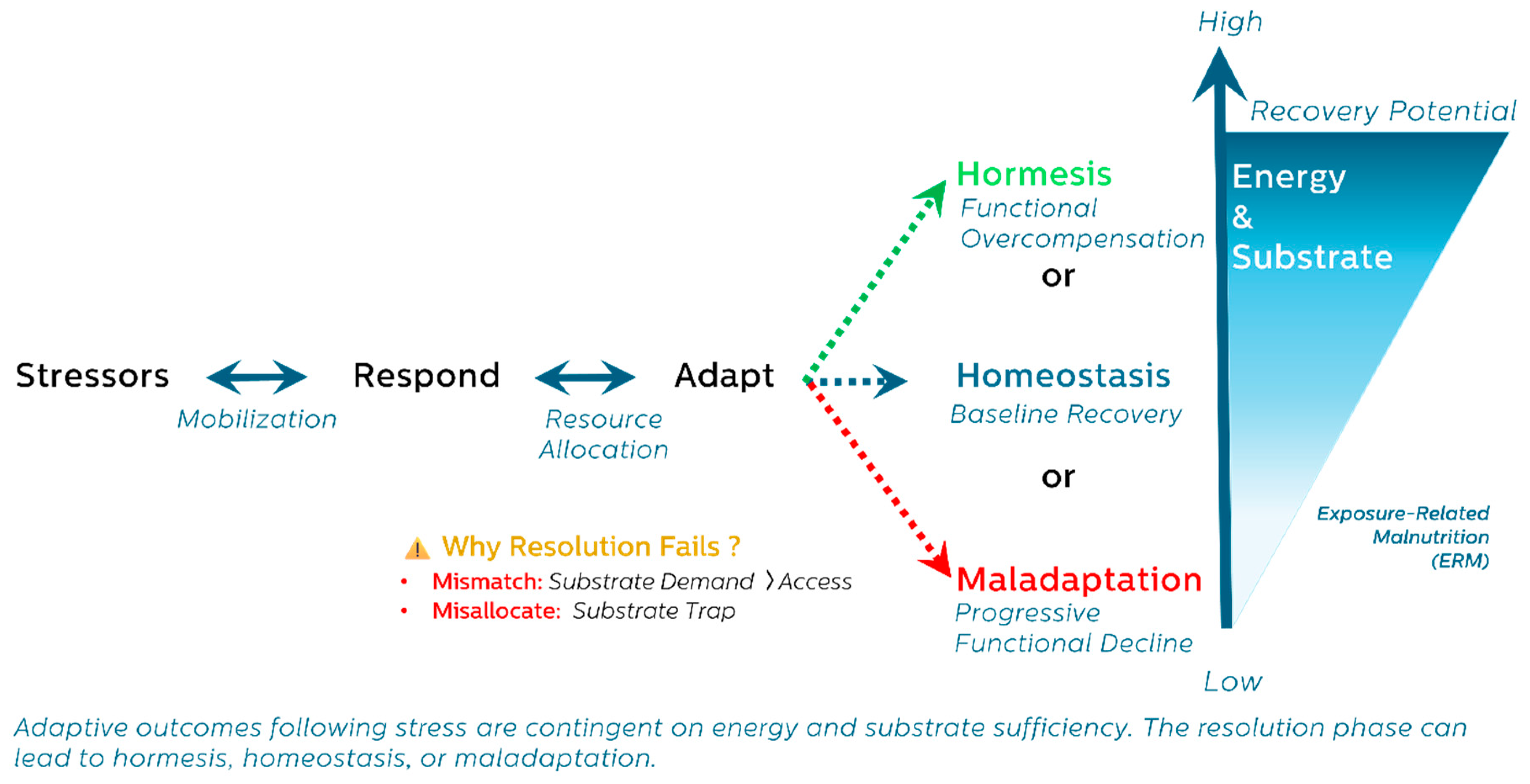 Preprints 156627 g001