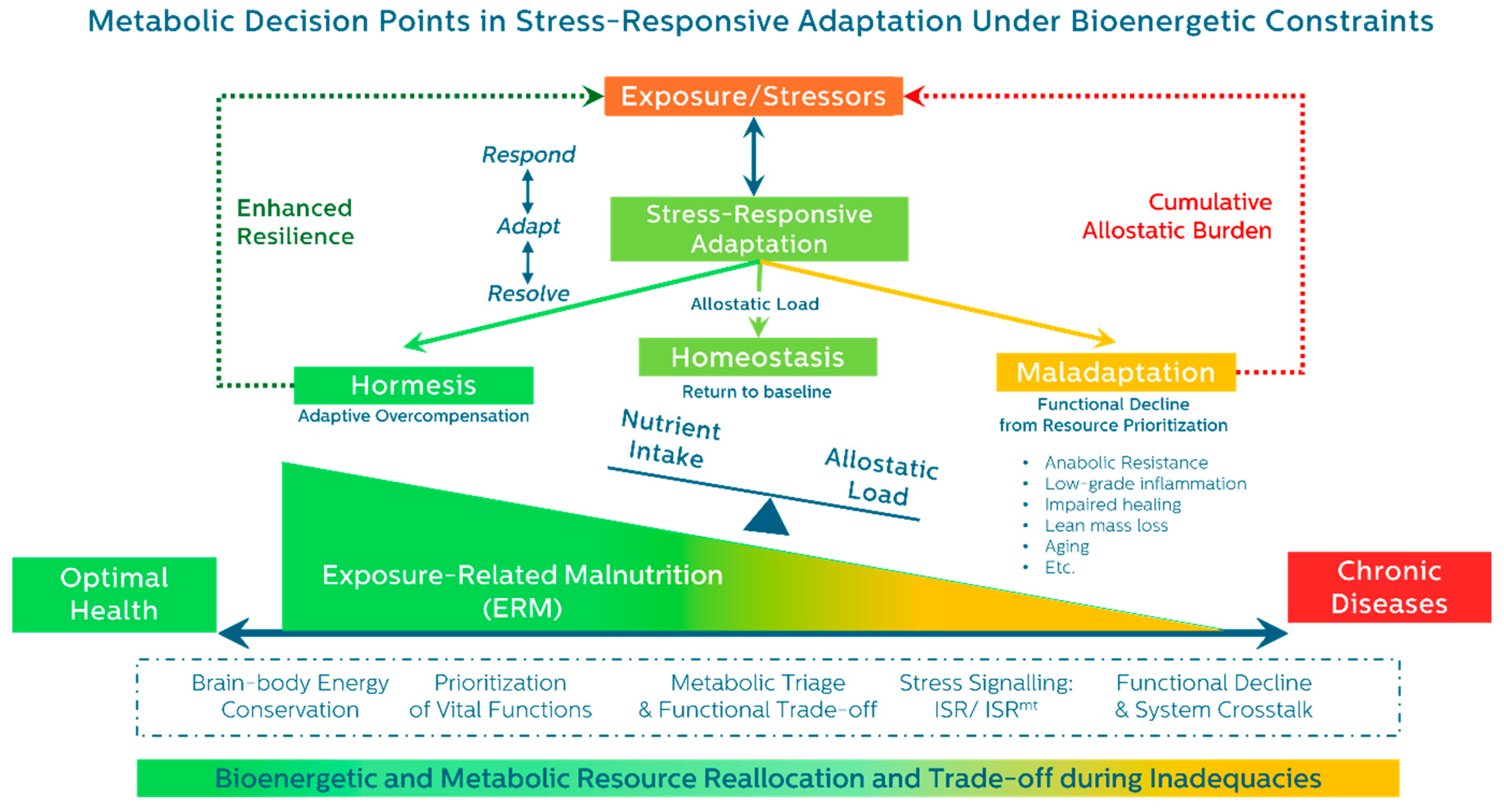Preprints 156627 g002
