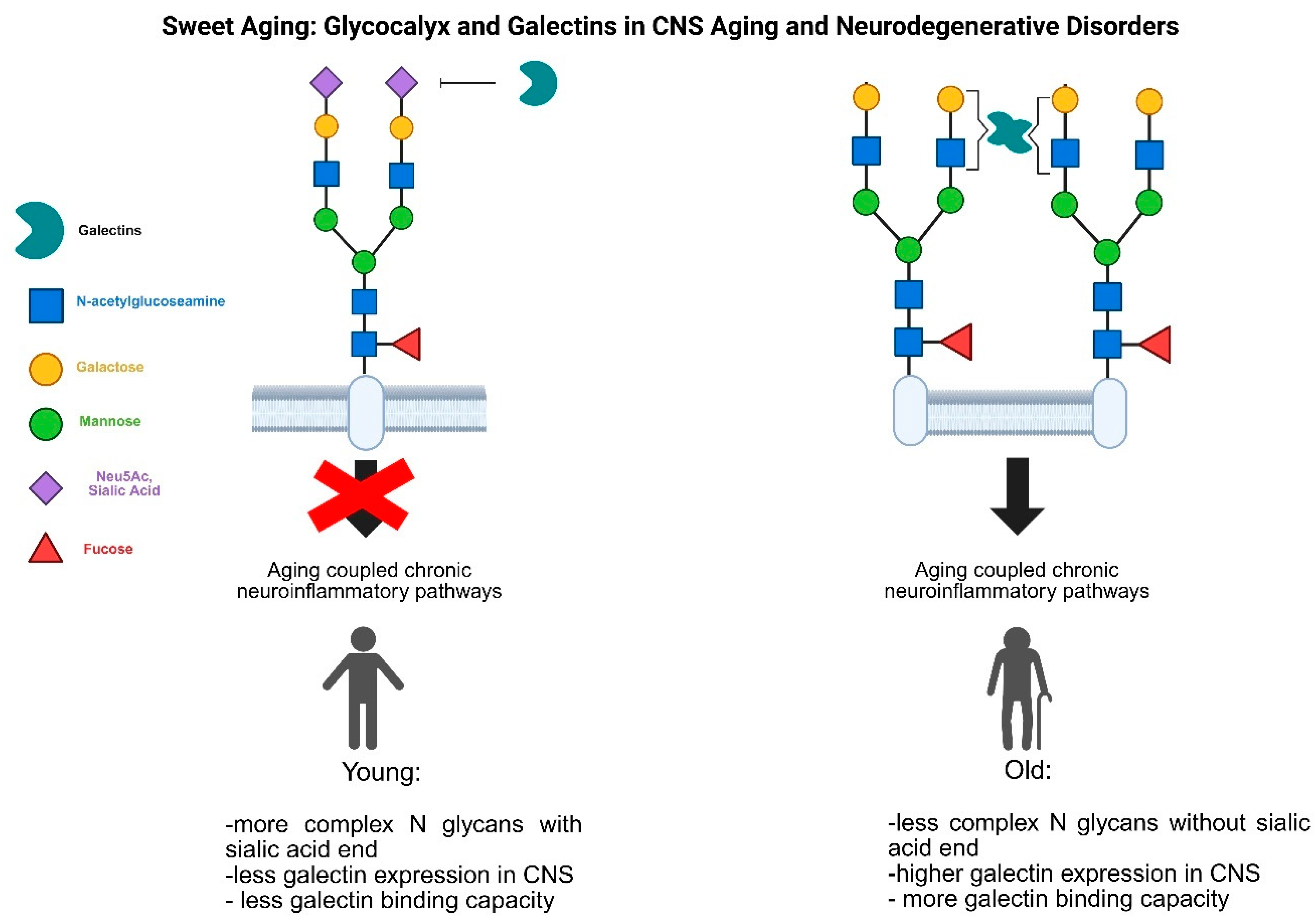 Preprints 155492 g002