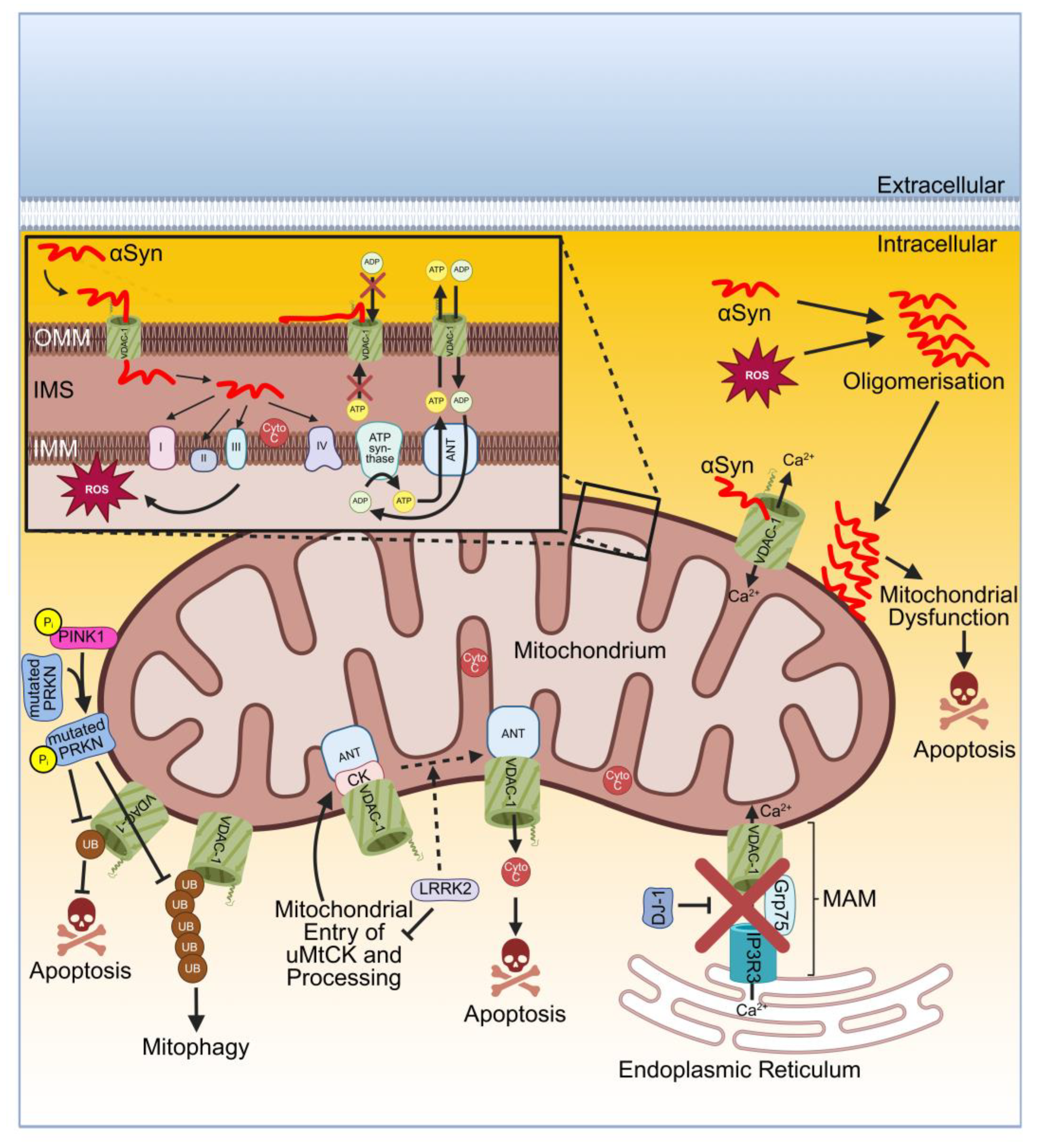 Preprints 160324 g003
