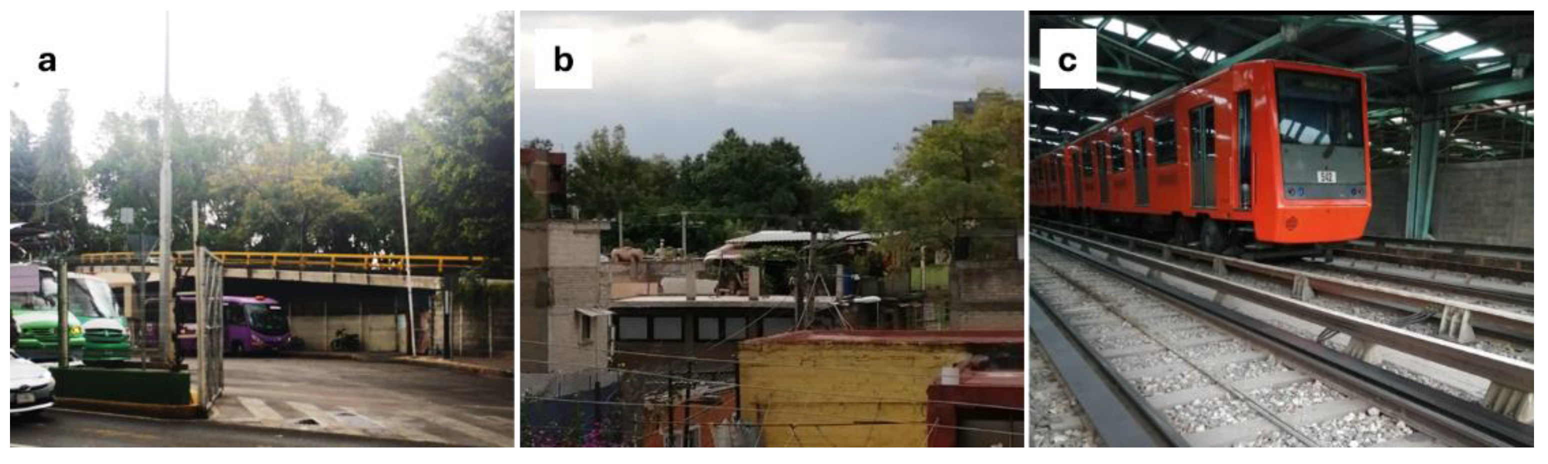 Preprints 143377 g001