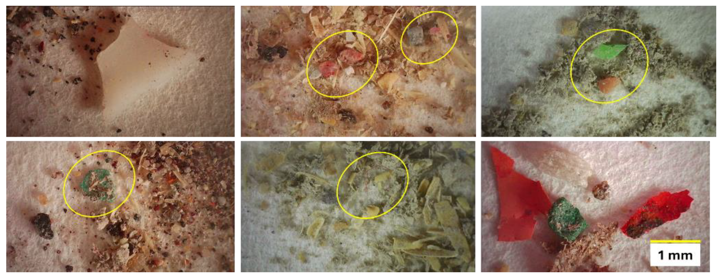 Preprints 143377 g004