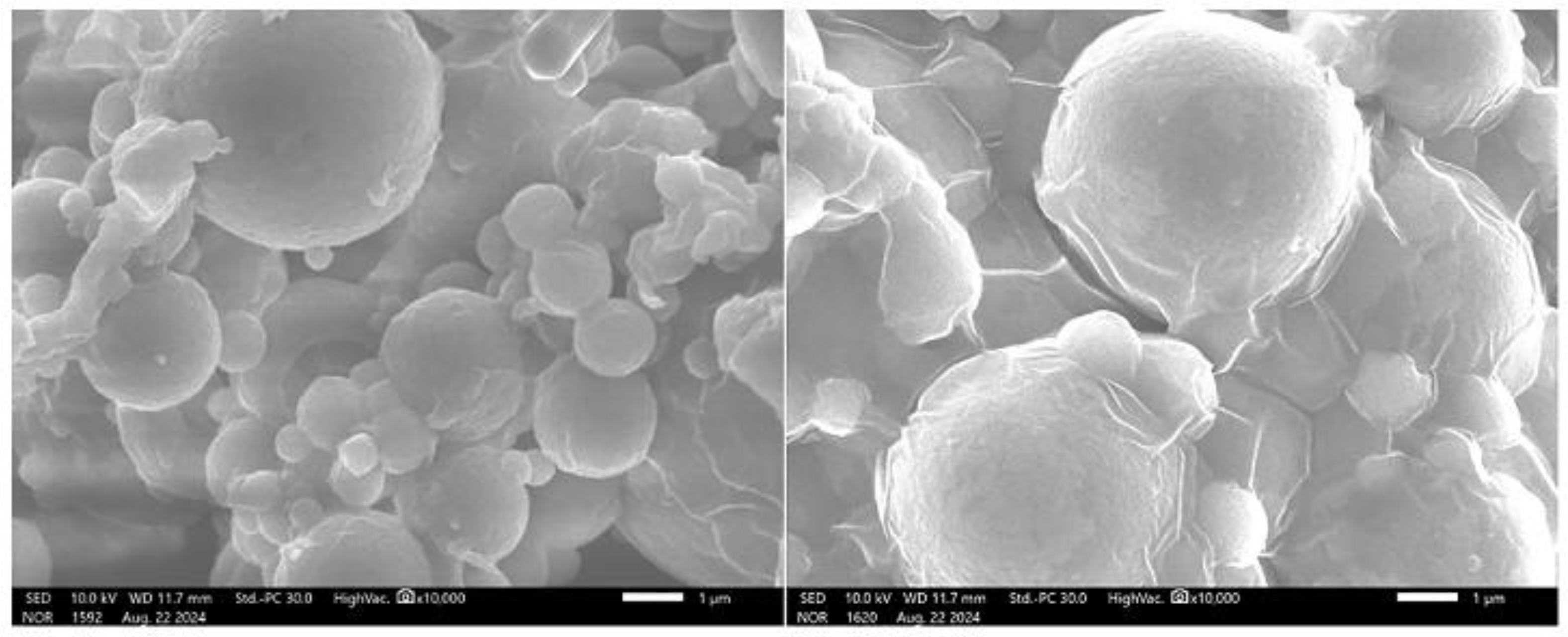 Preprints 160539 g006