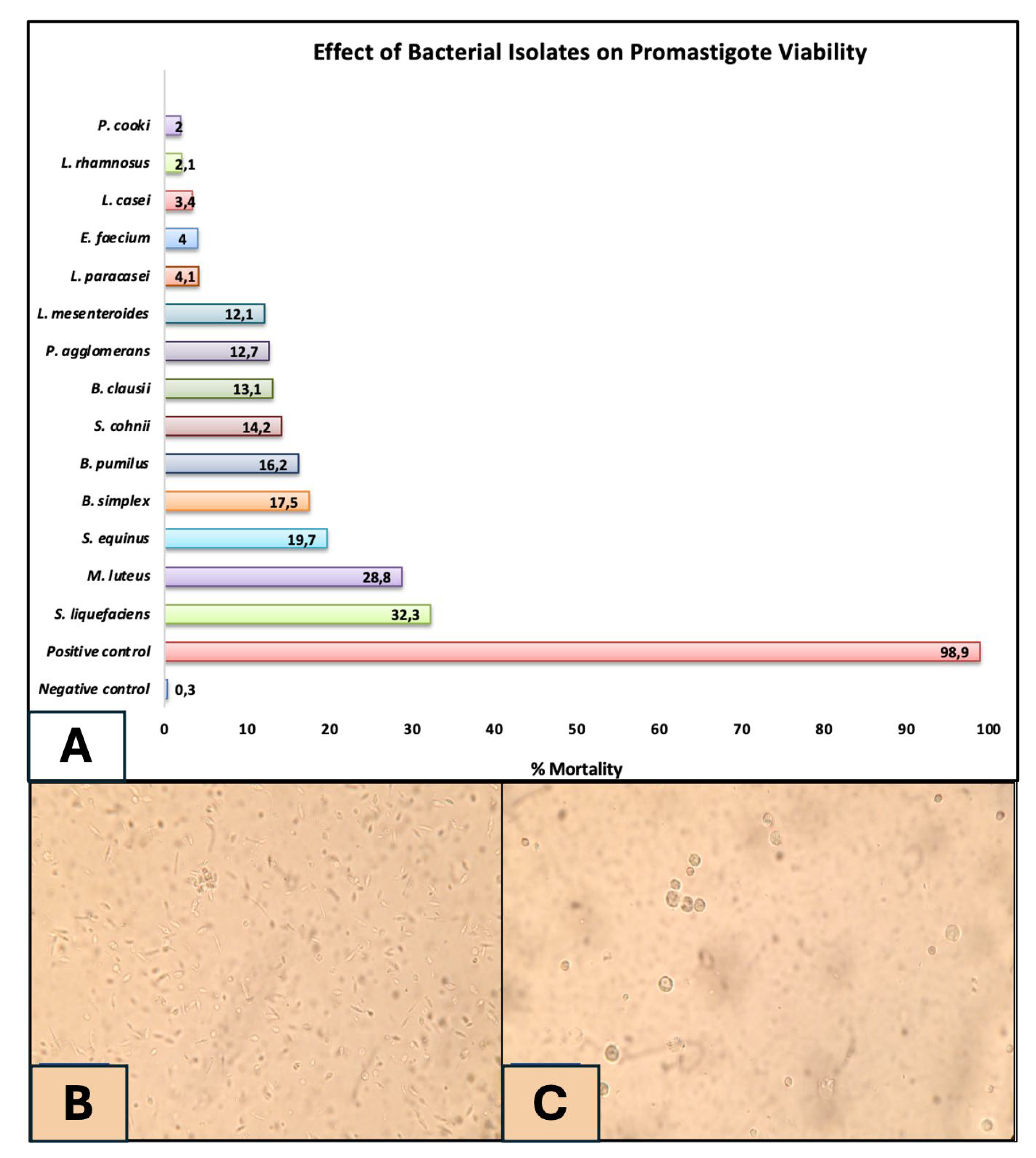 Preprints 215196 g001 Preprints 215196 g001