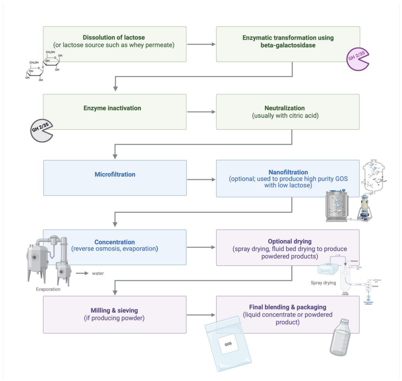 Technical Aspects of Commercial Prebiotic Manufacturing[v1] | Preprints.org