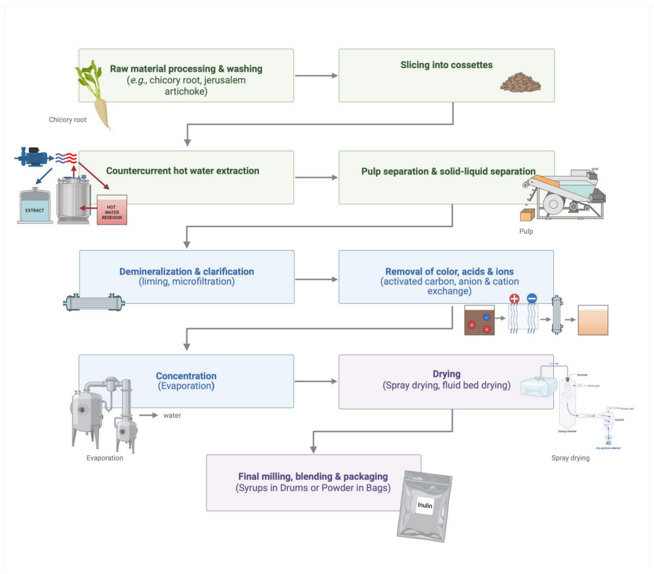 Technical Aspects of Commercial Prebiotic Manufacturing[v1] | Preprints.org