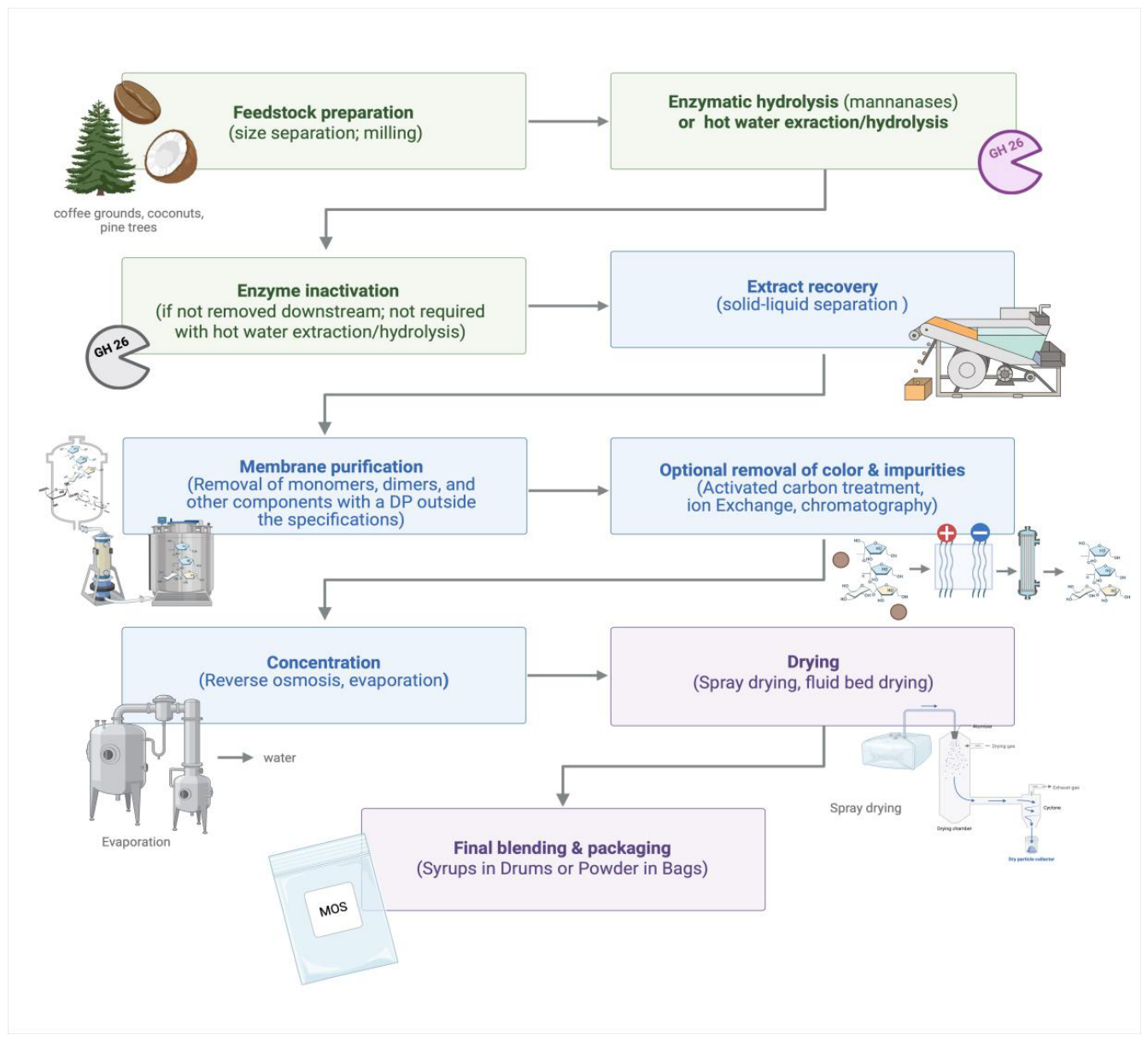 Technical Aspects of Commercial Prebiotic Manufacturing[v1] | Preprints.org
