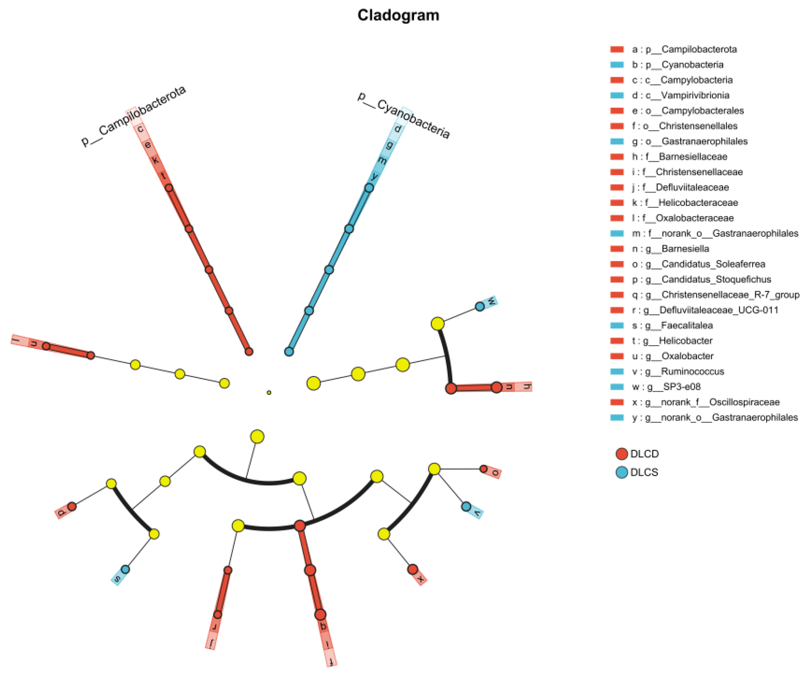 Preprints 195372 g003