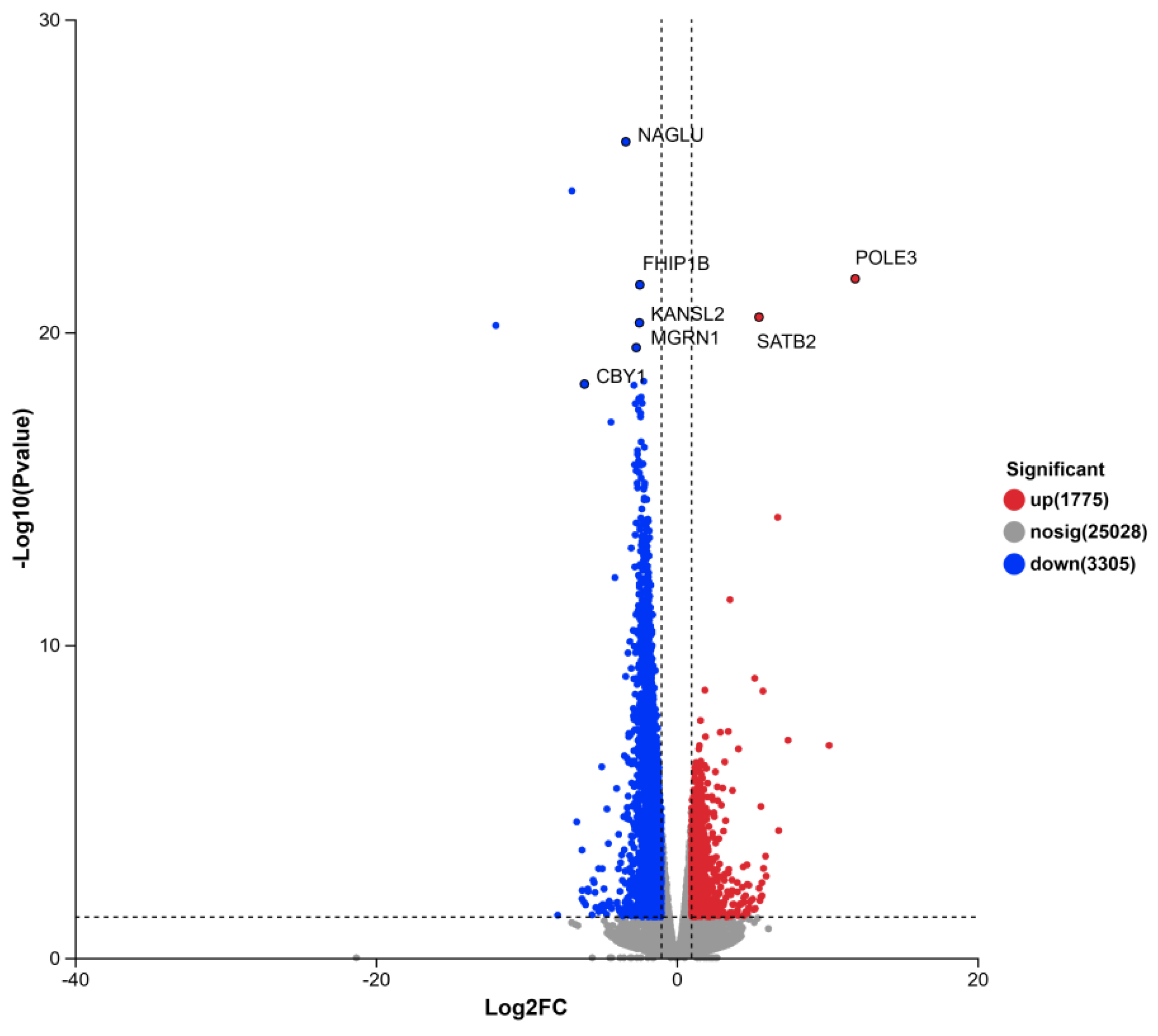 Preprints 195372 g008
