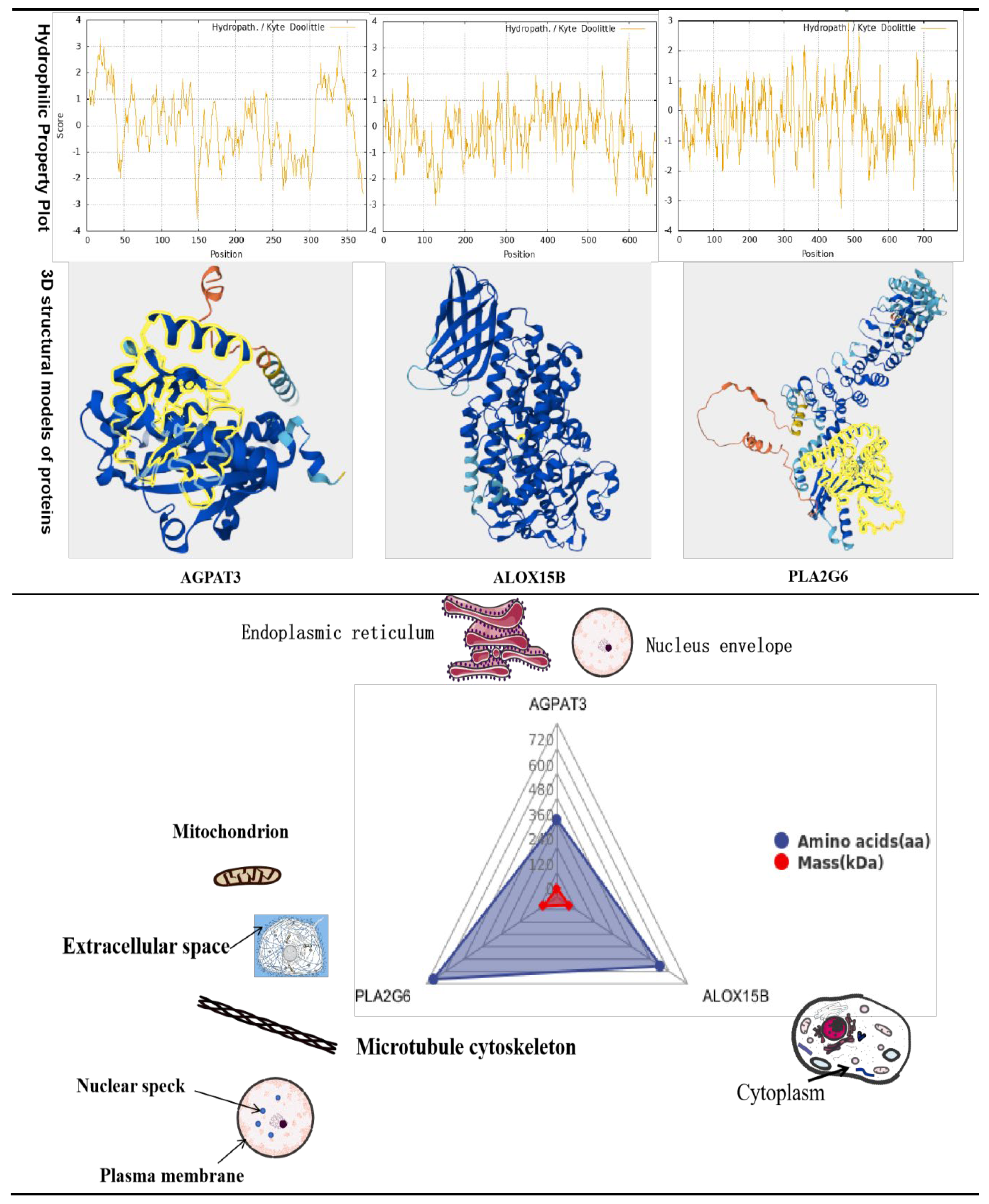Preprints 195372 g014