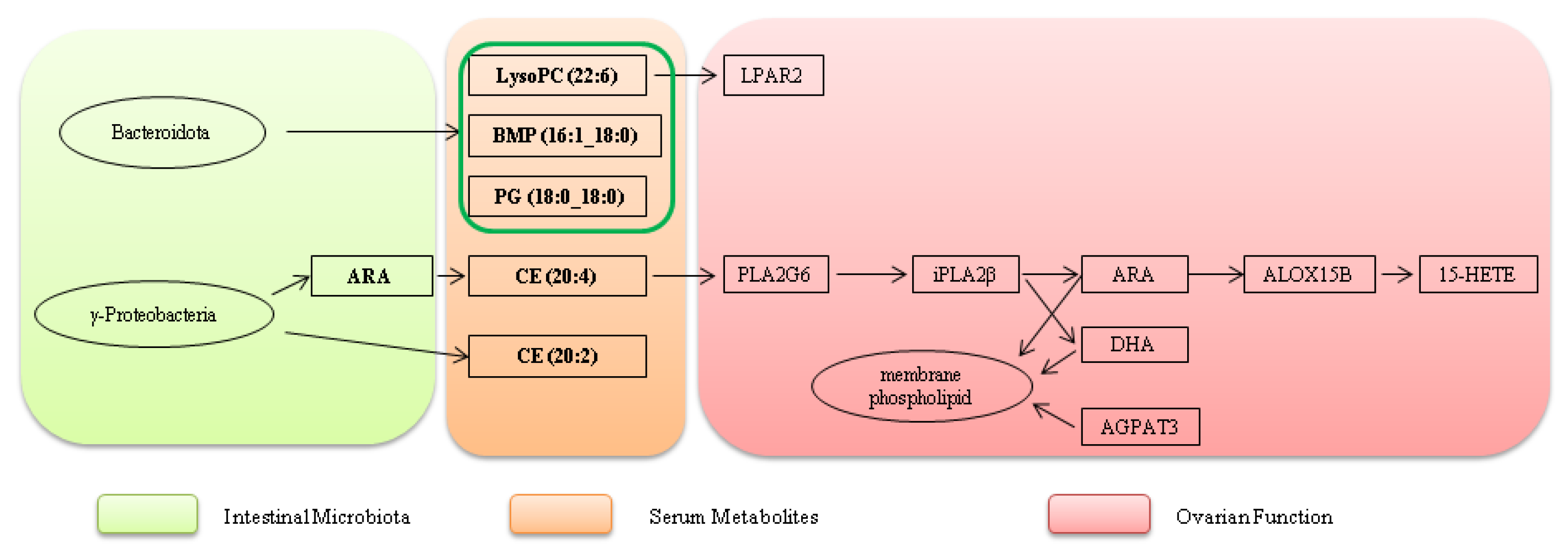 Preprints 195372 g022