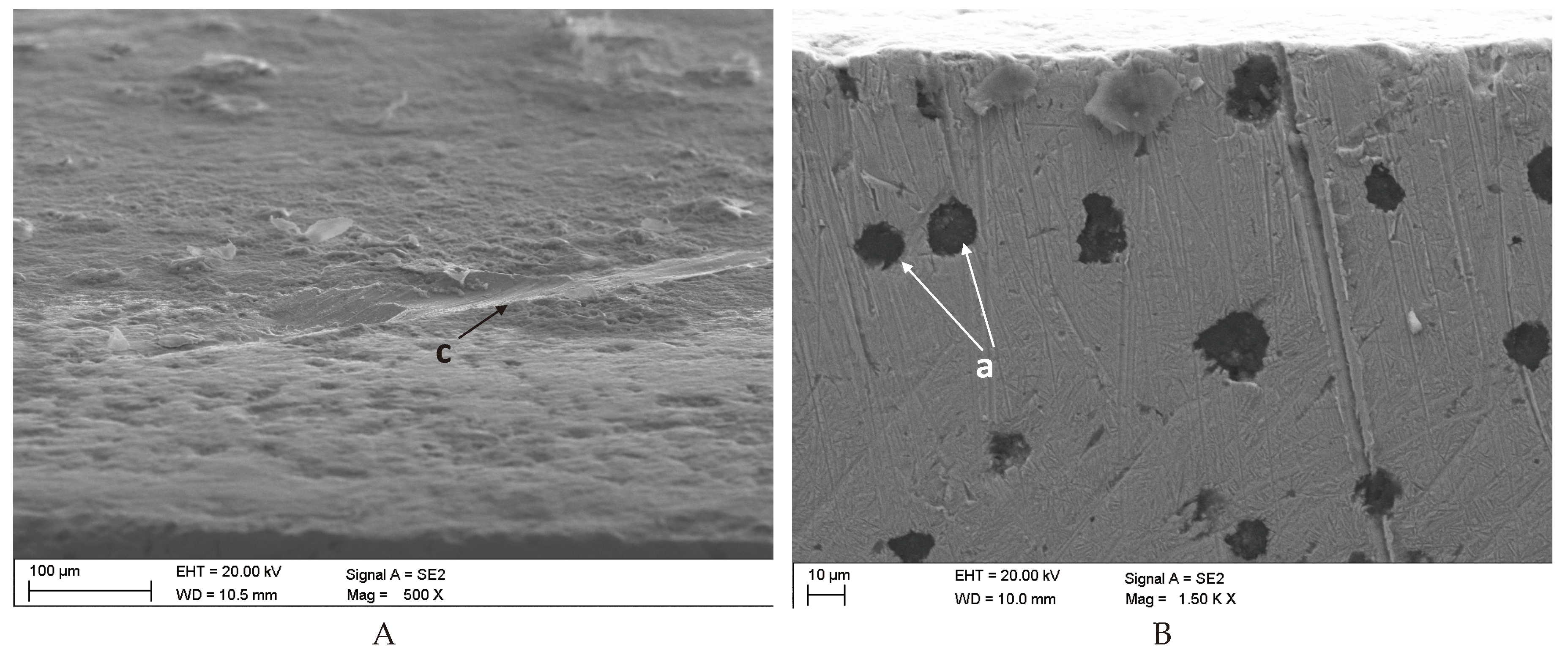 Preprints 99047 g011