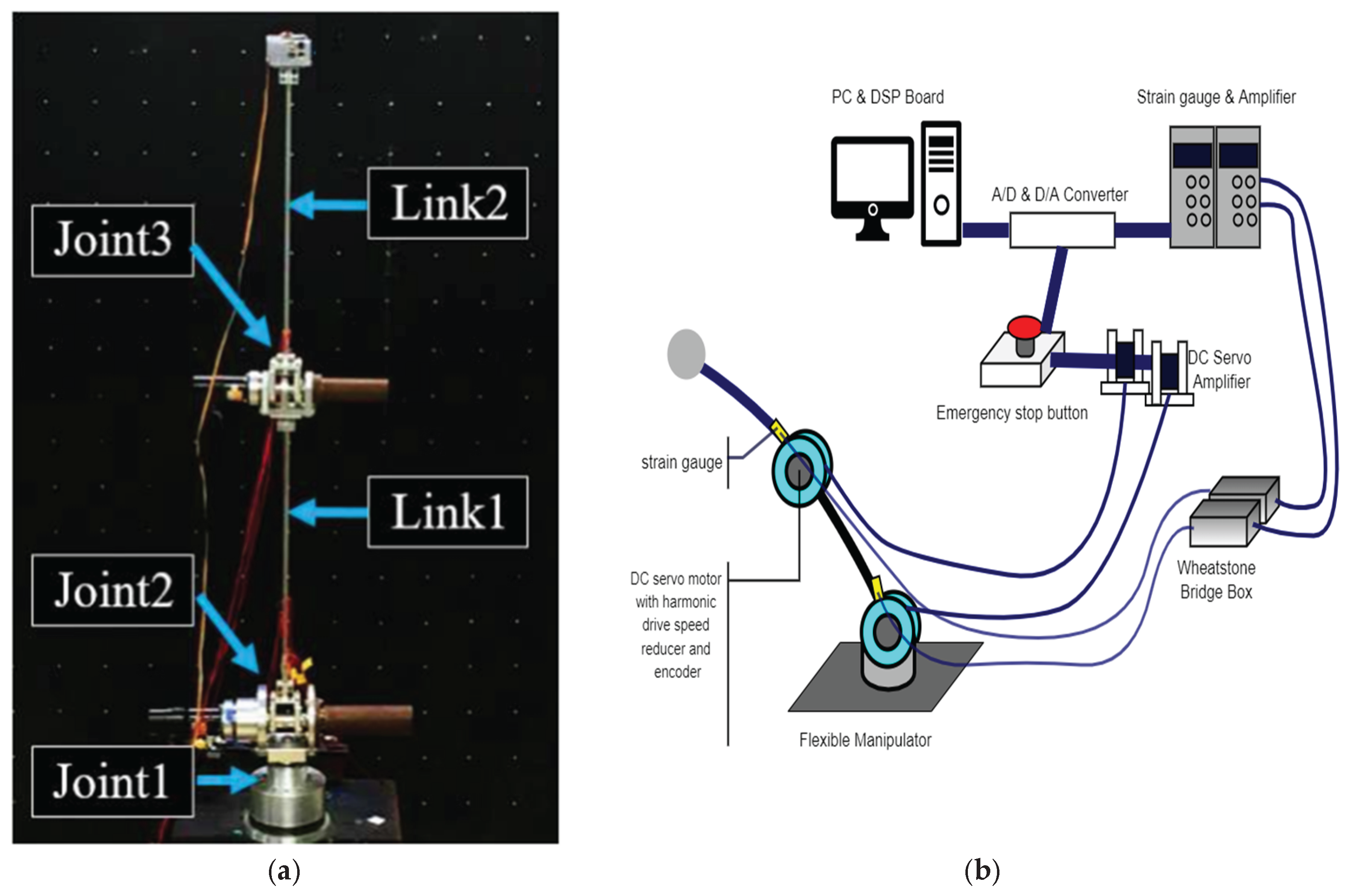 Preprints 164063 g001