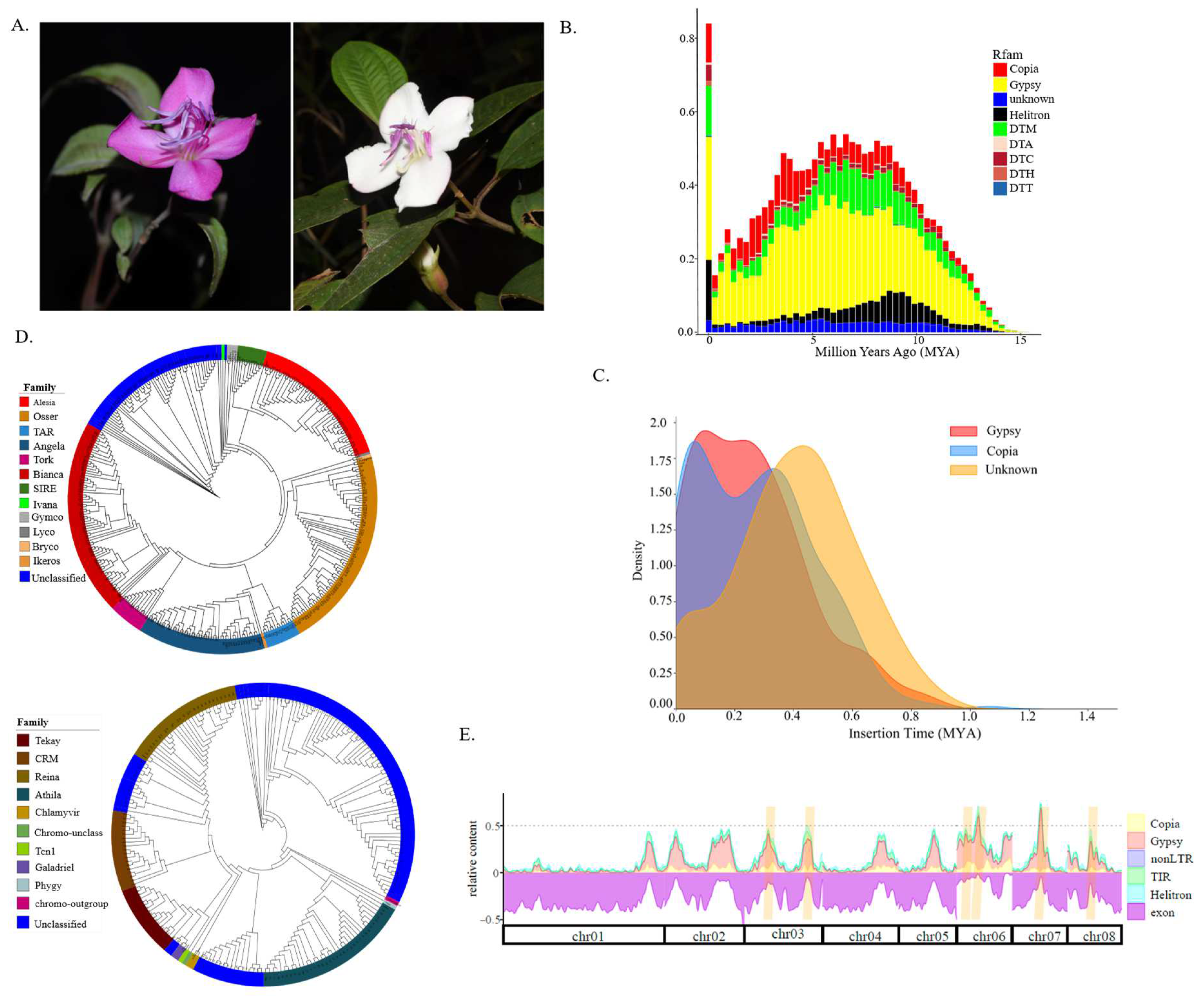 Preprints 146896 g001