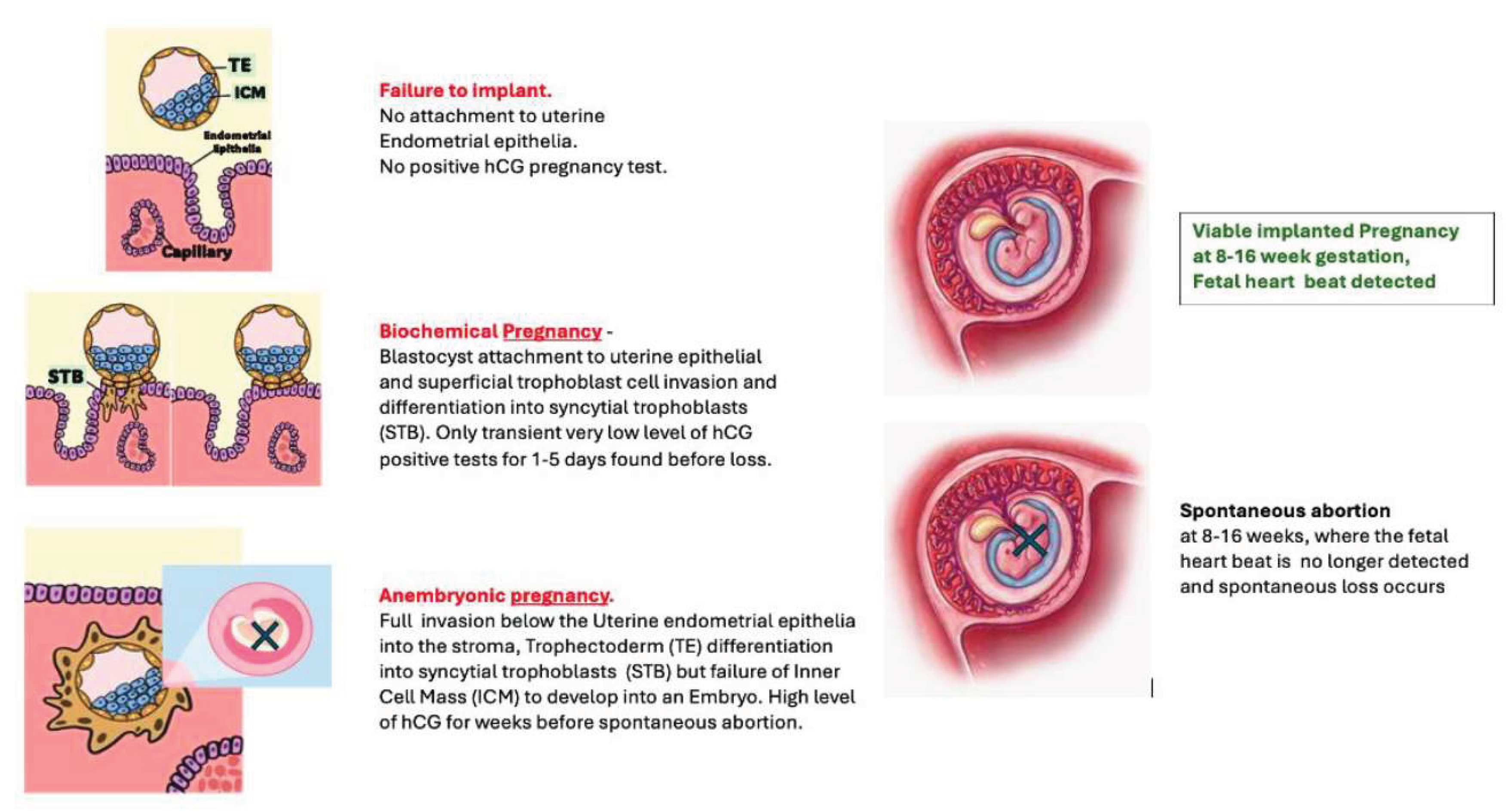 Preprints 174314 g002