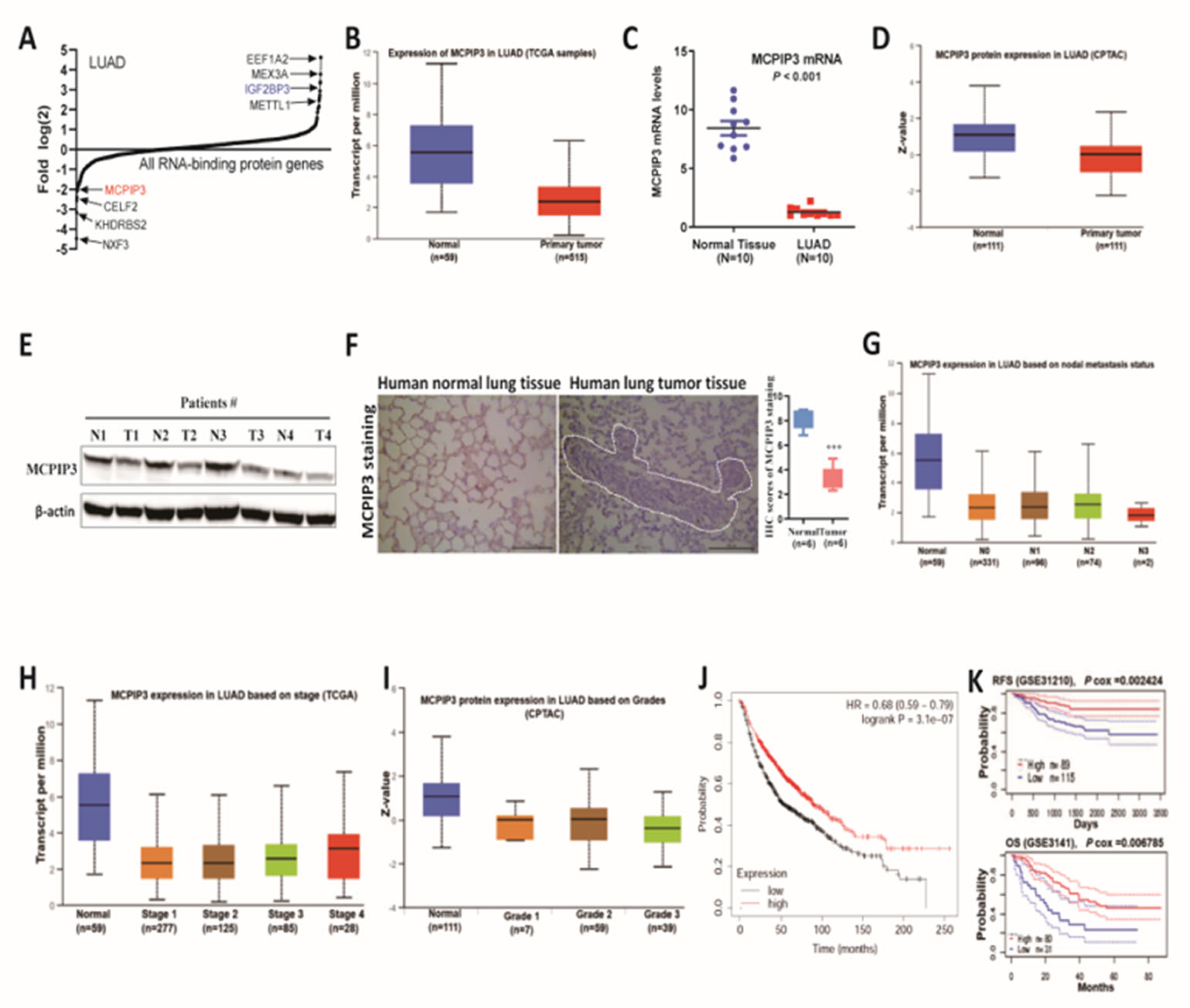 Preprints 217535 g001 Preprints 217535 g001