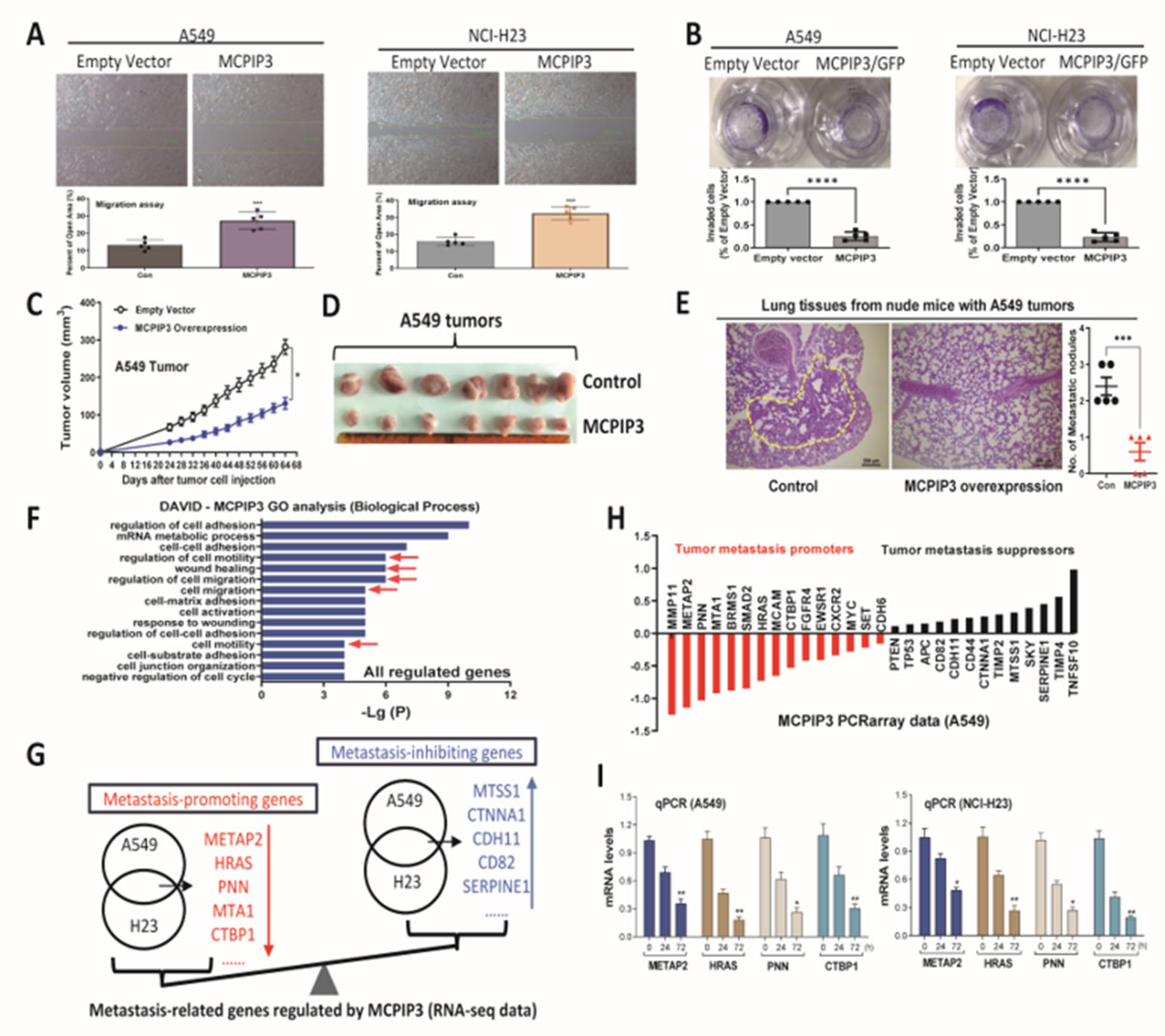 Preprints 217535 g002 Preprints 217535 g002
