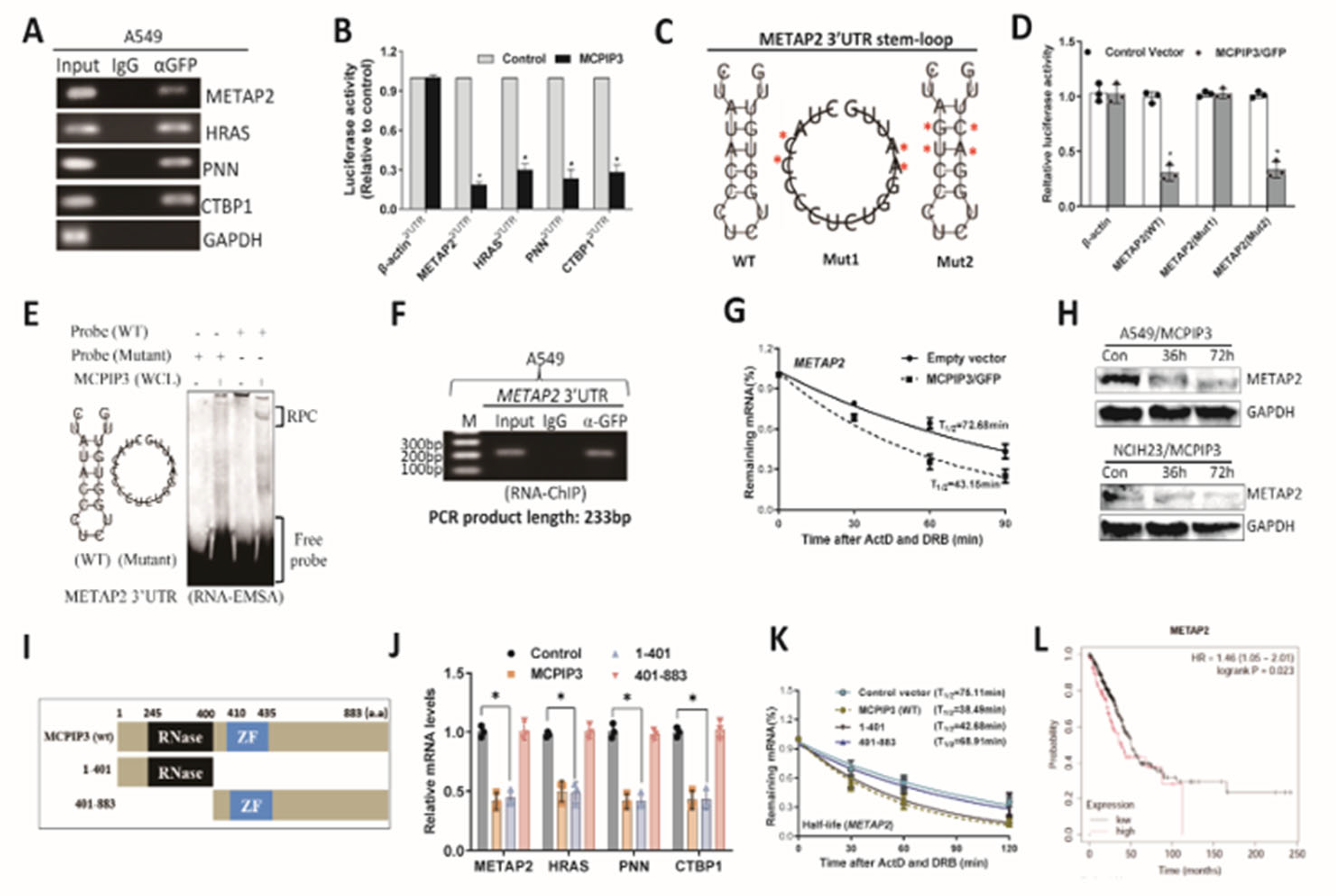 Preprints 217535 g003 Preprints 217535 g003