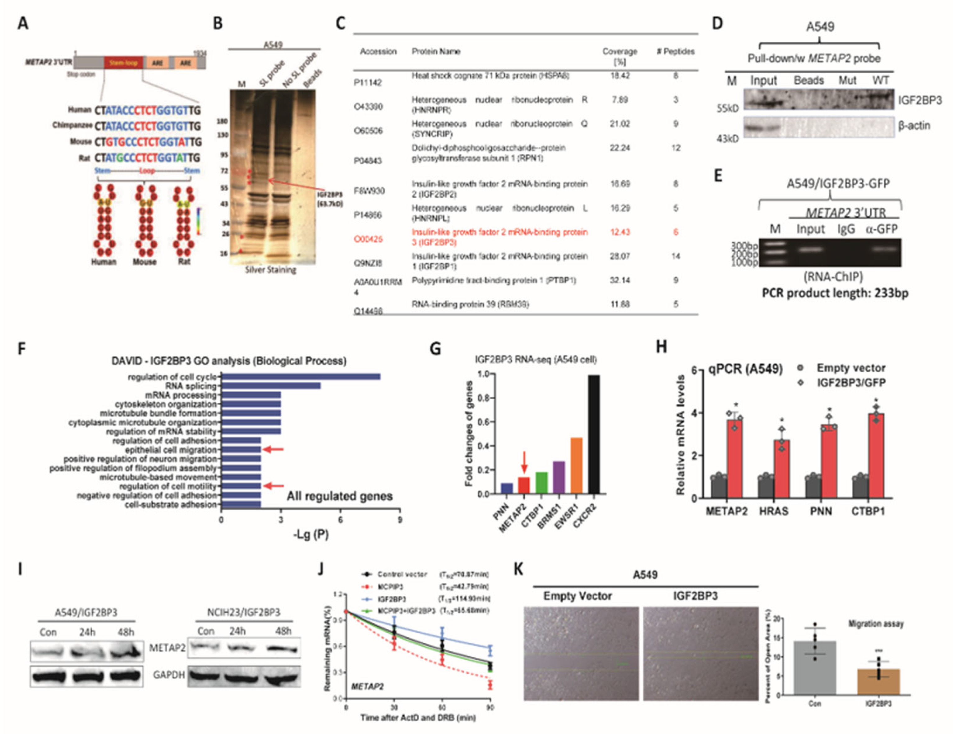 Preprints 217535 g005 Preprints 217535 g005