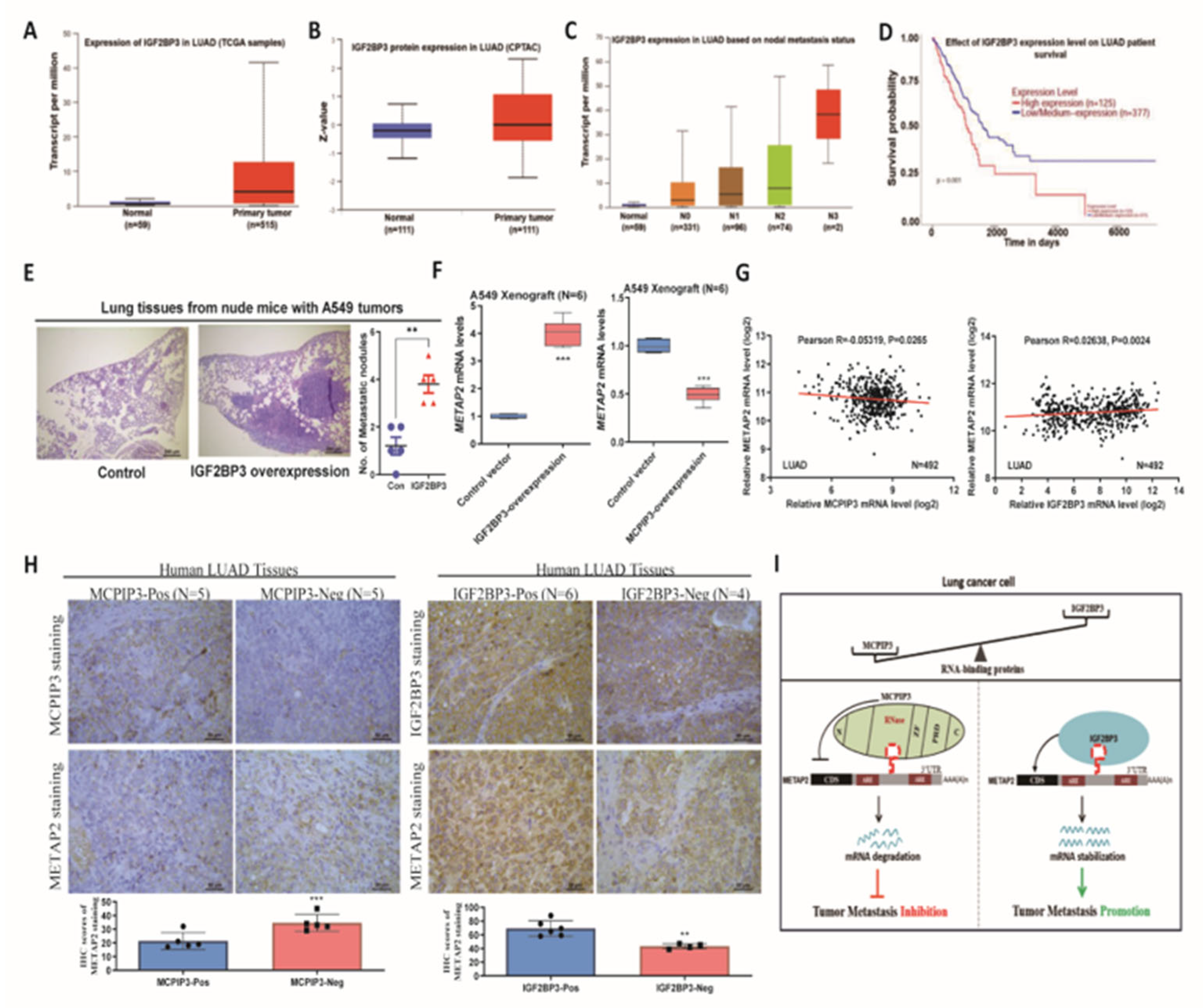 Preprints 217535 g006 Preprints 217535 g006