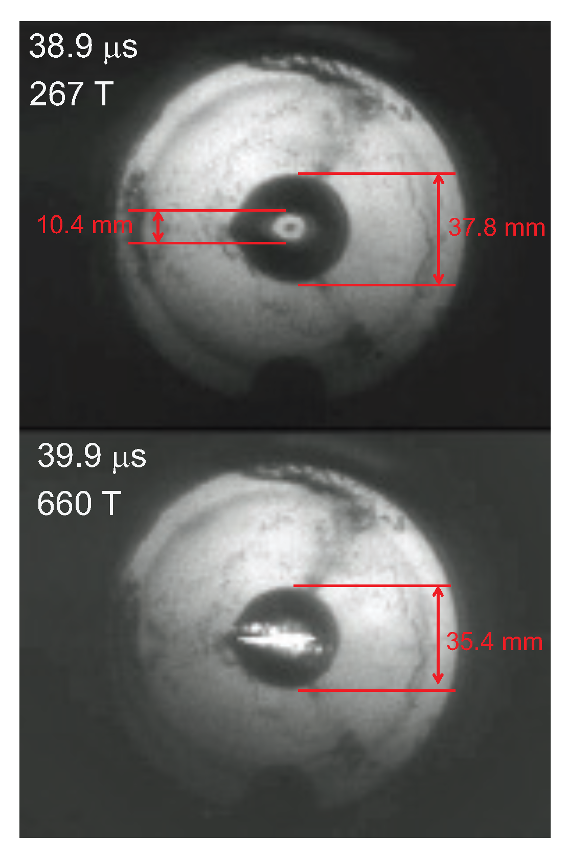Preprints 212981 g011 Preprints 212981 g011