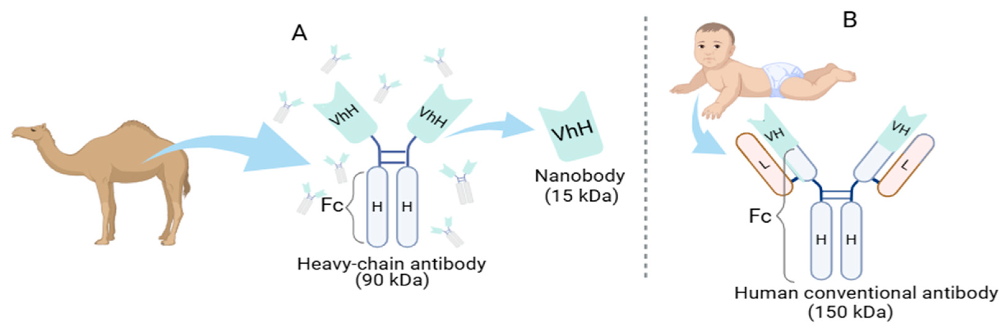 Preprints 158195 g001