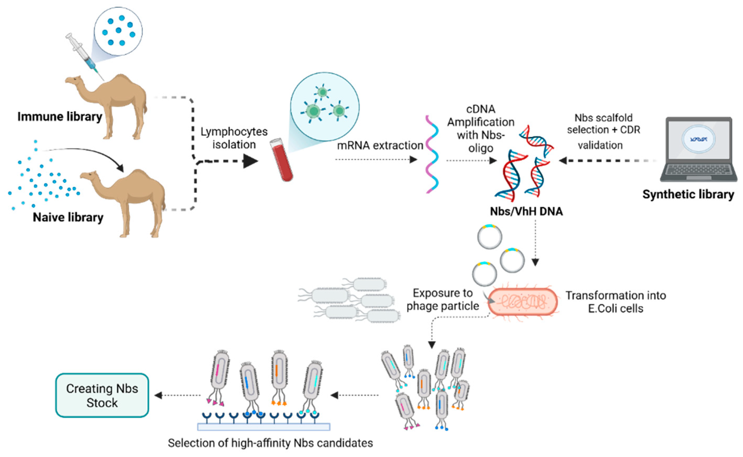 Preprints 158195 g002