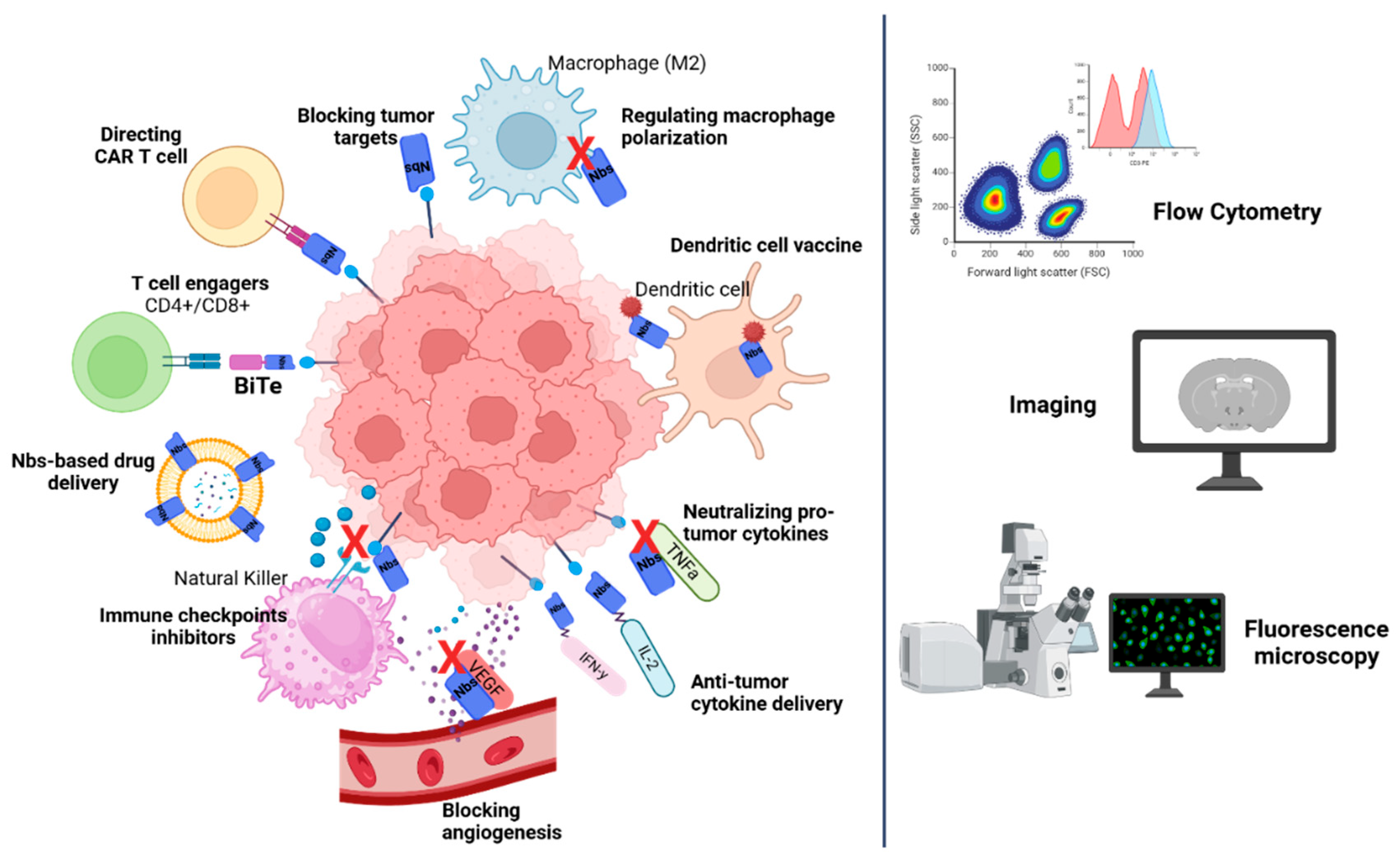 Preprints 158195 g003