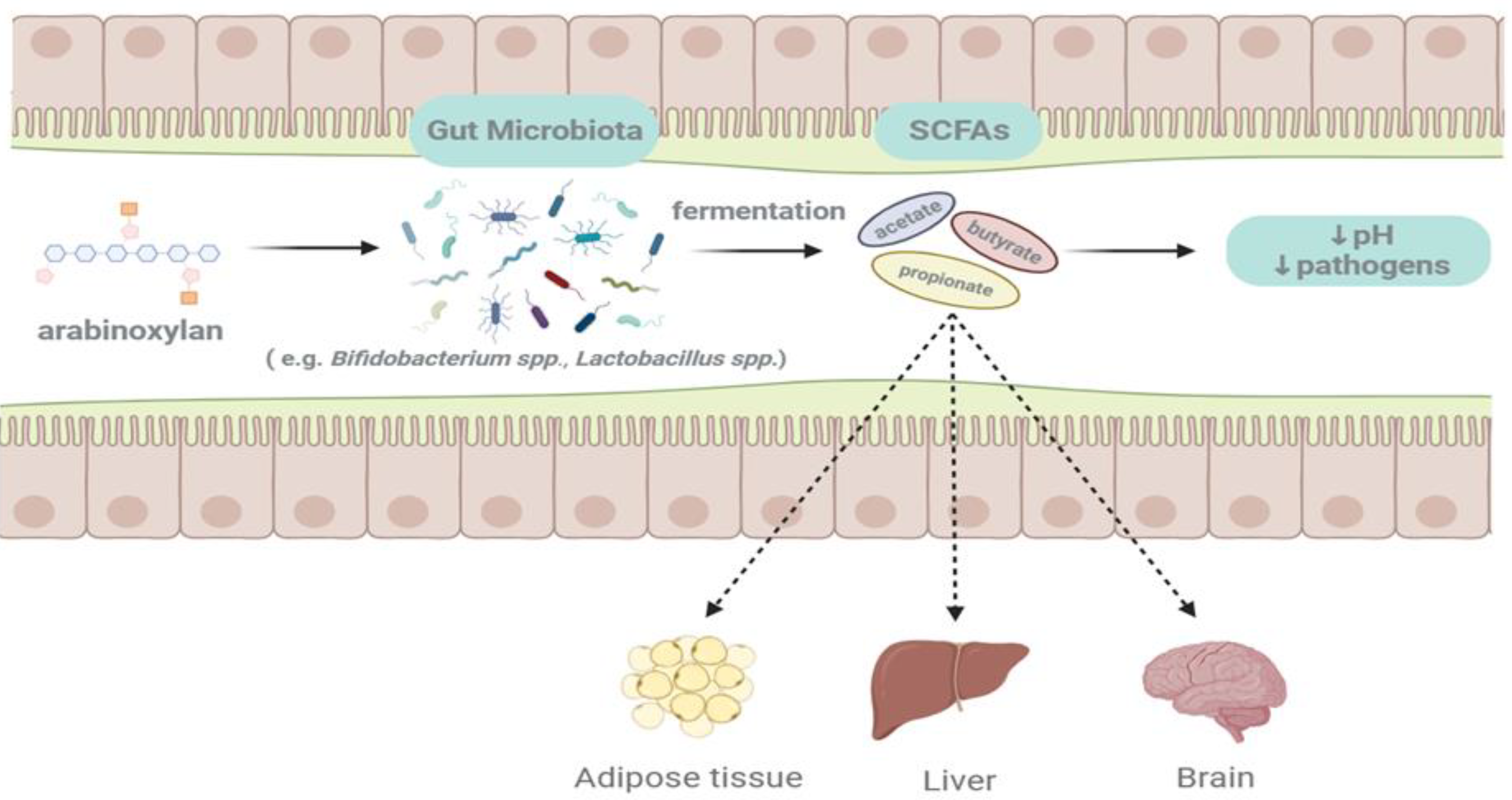 Preprints 108225 g003
