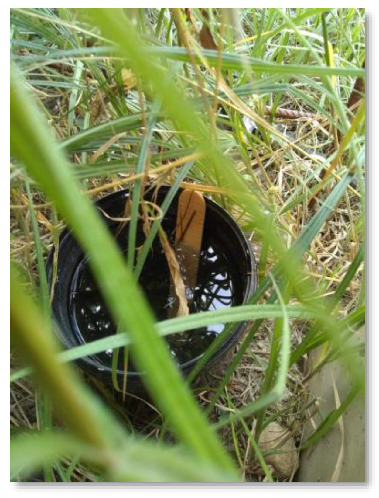 Preprints 75822 g001