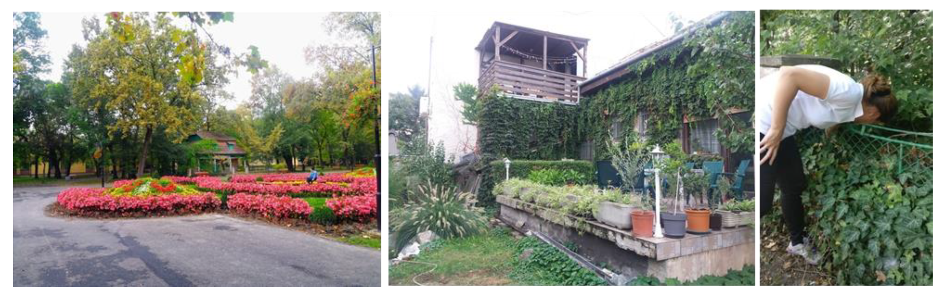 Preprints 75822 g002