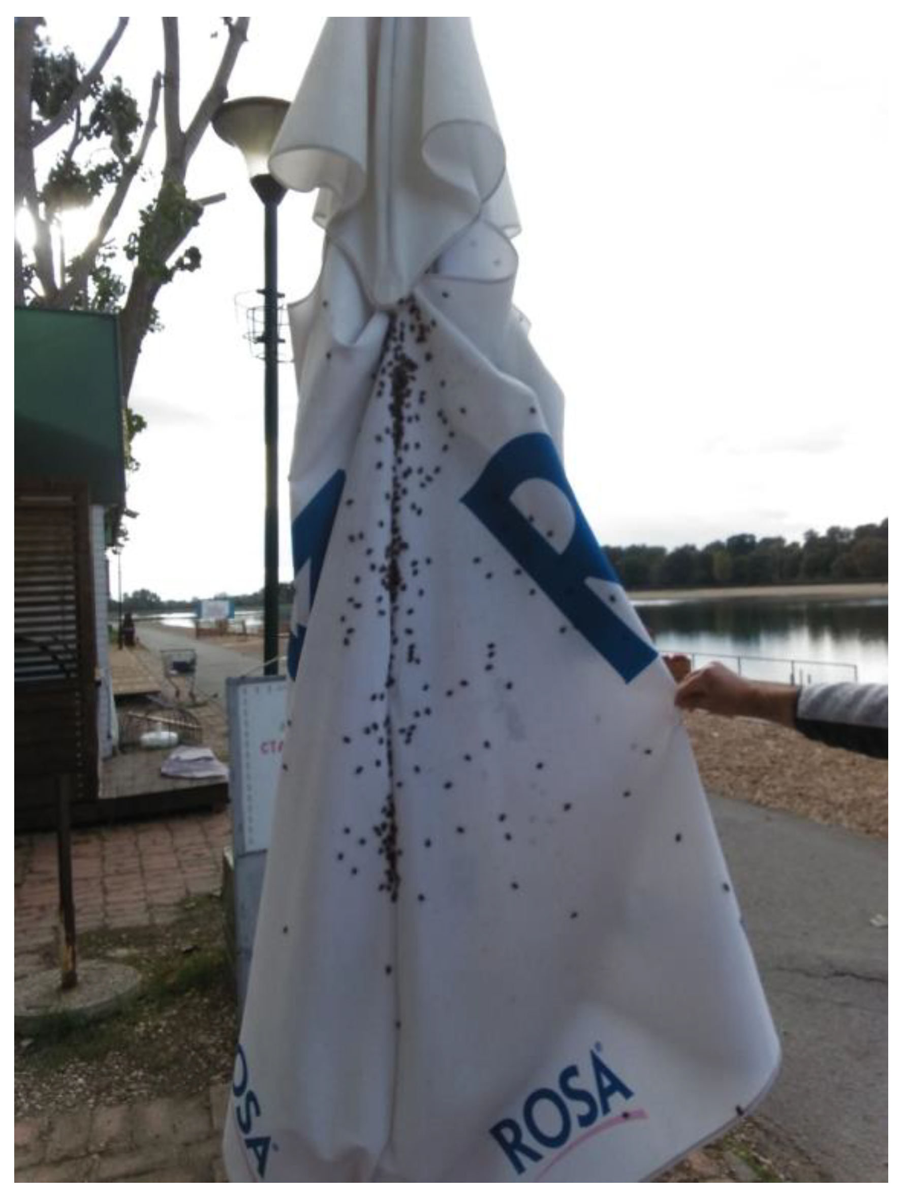 Preprints 75822 g005