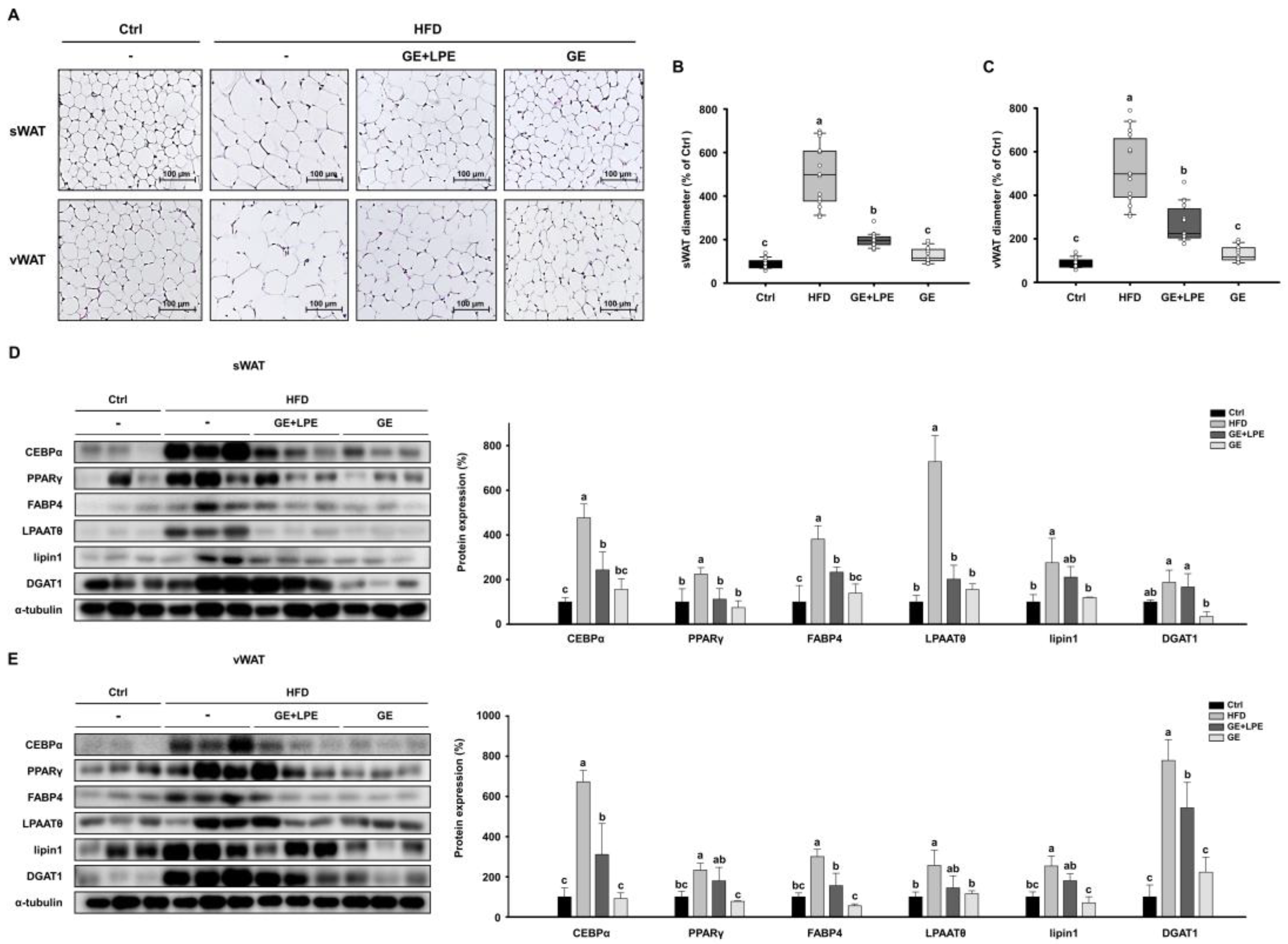 Preprints 165641 g005