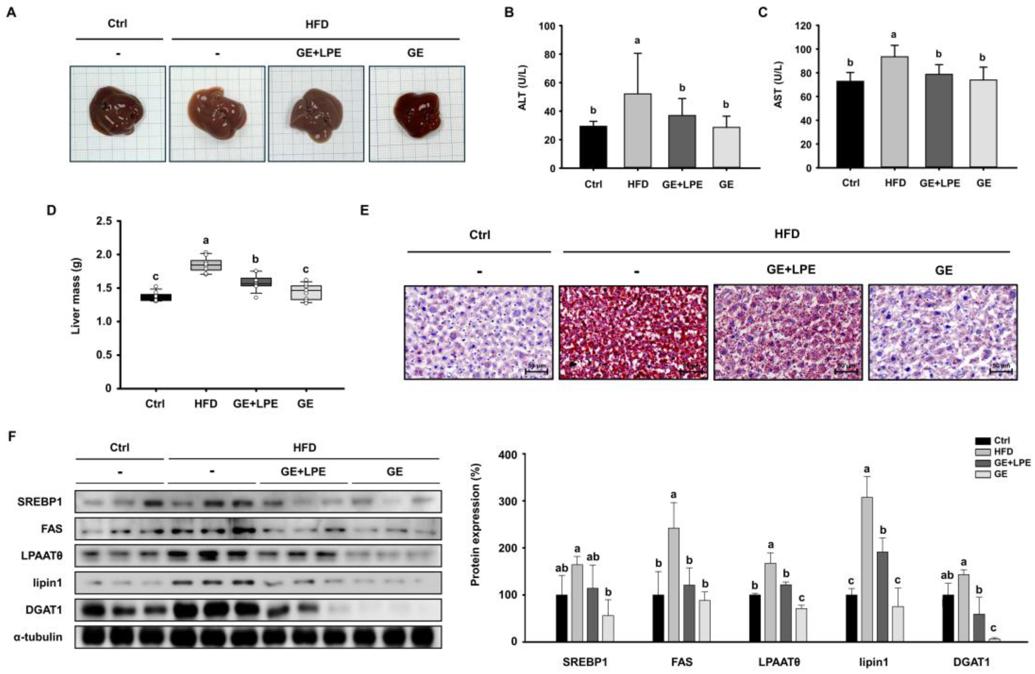 Preprints 165641 g007