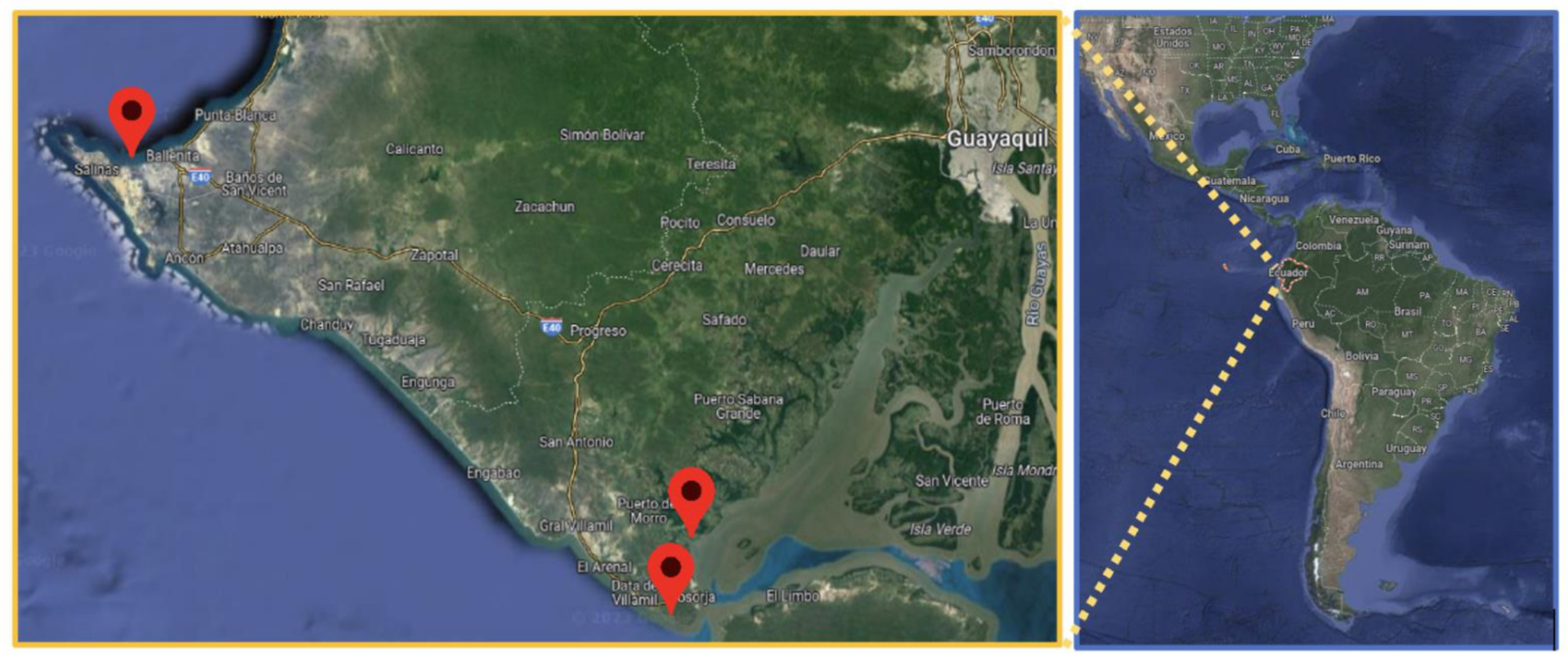 Preprints 98004 g001