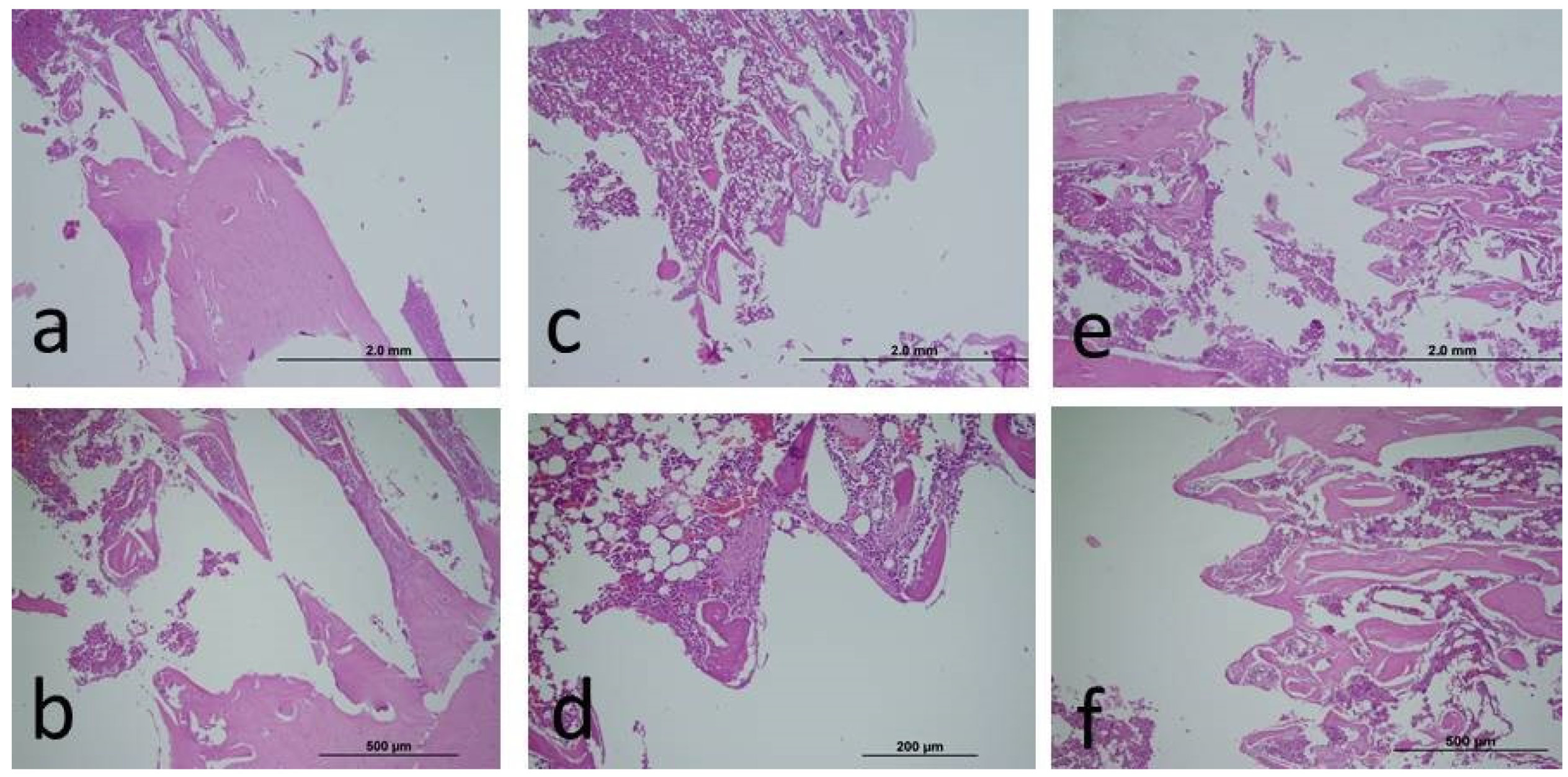 Preprints 107932 g001