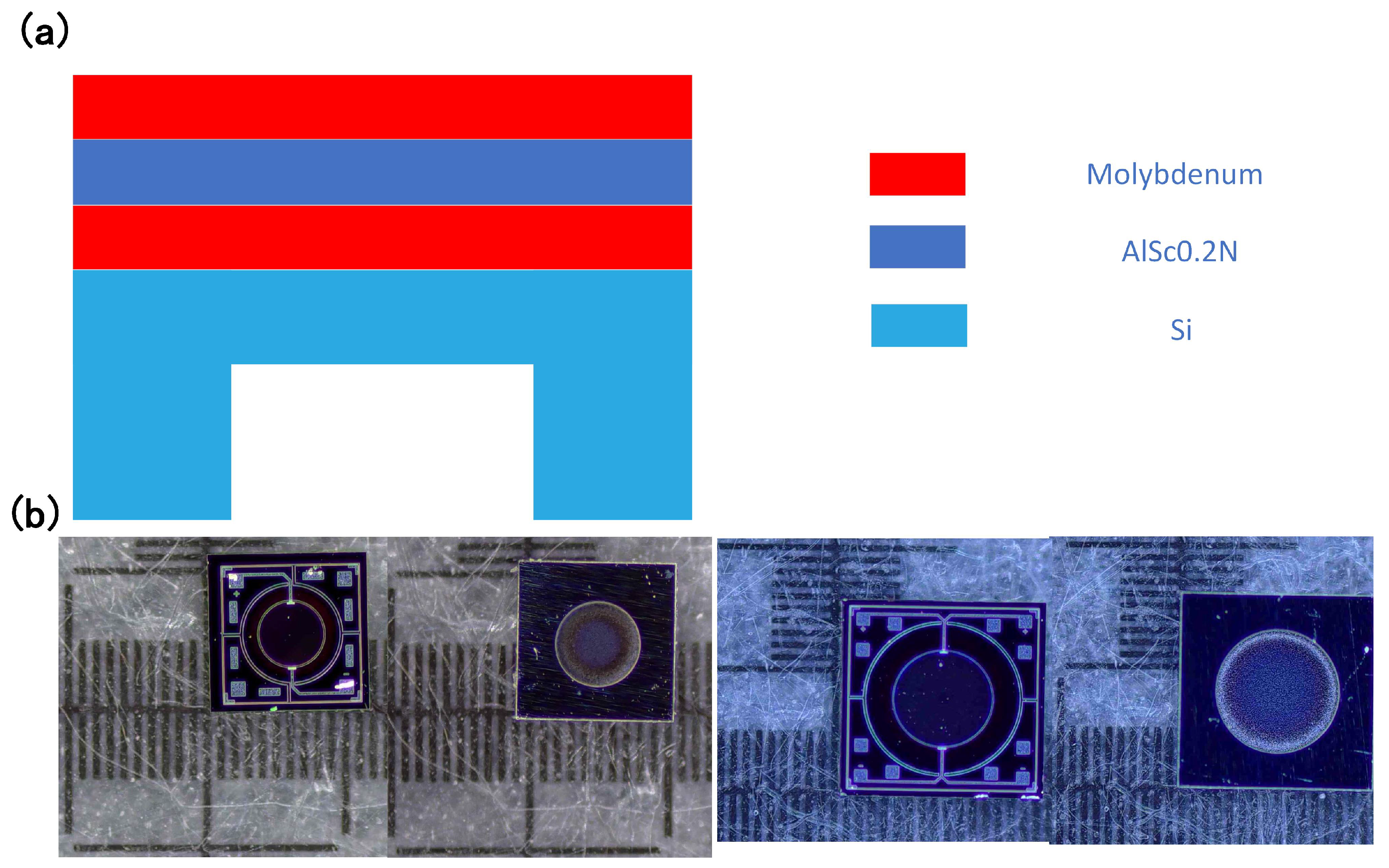 Preprints 142399 g001