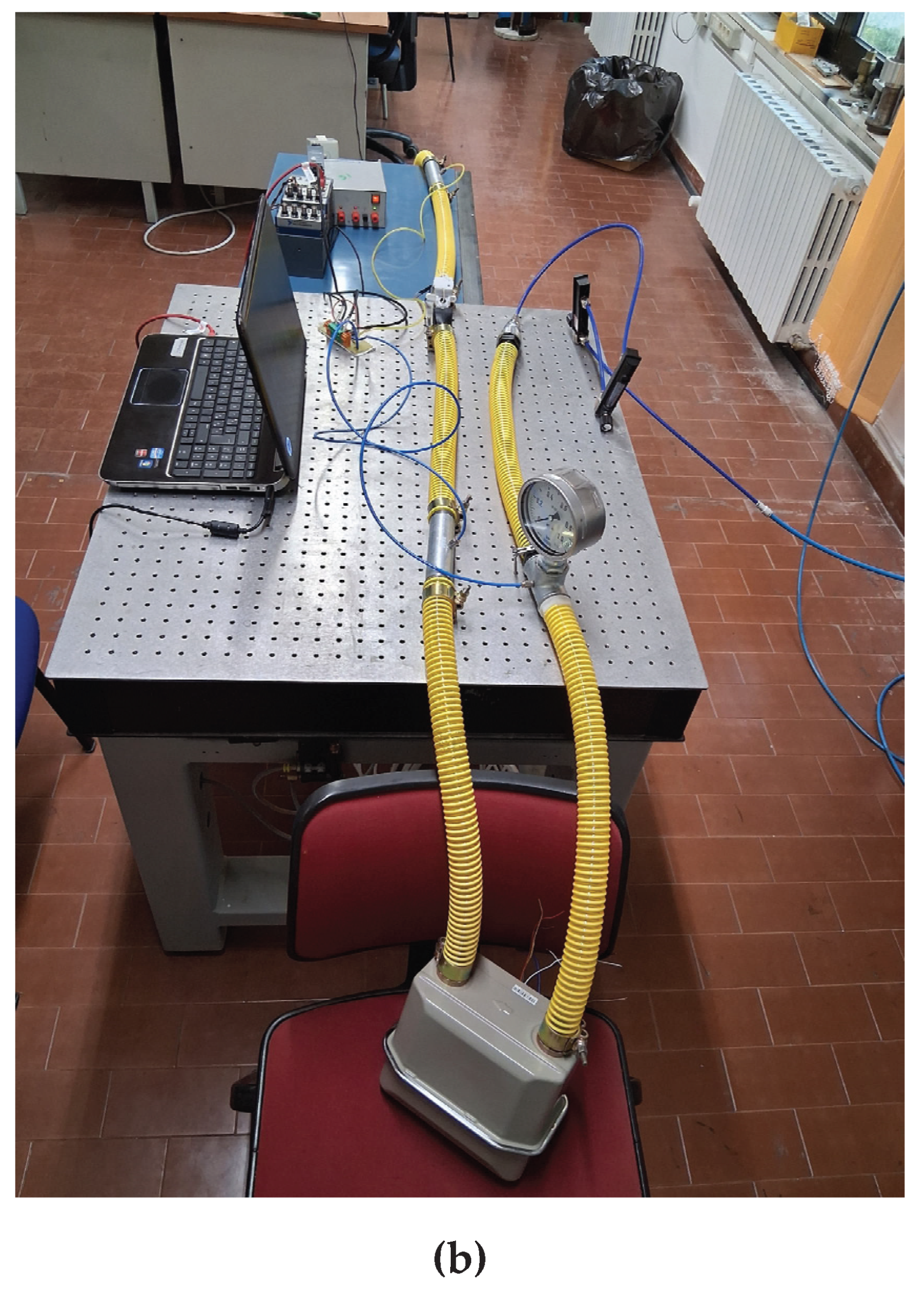 Preprints 179162 g001b