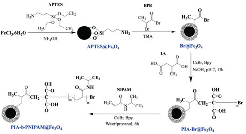 Preprints 160102 g001