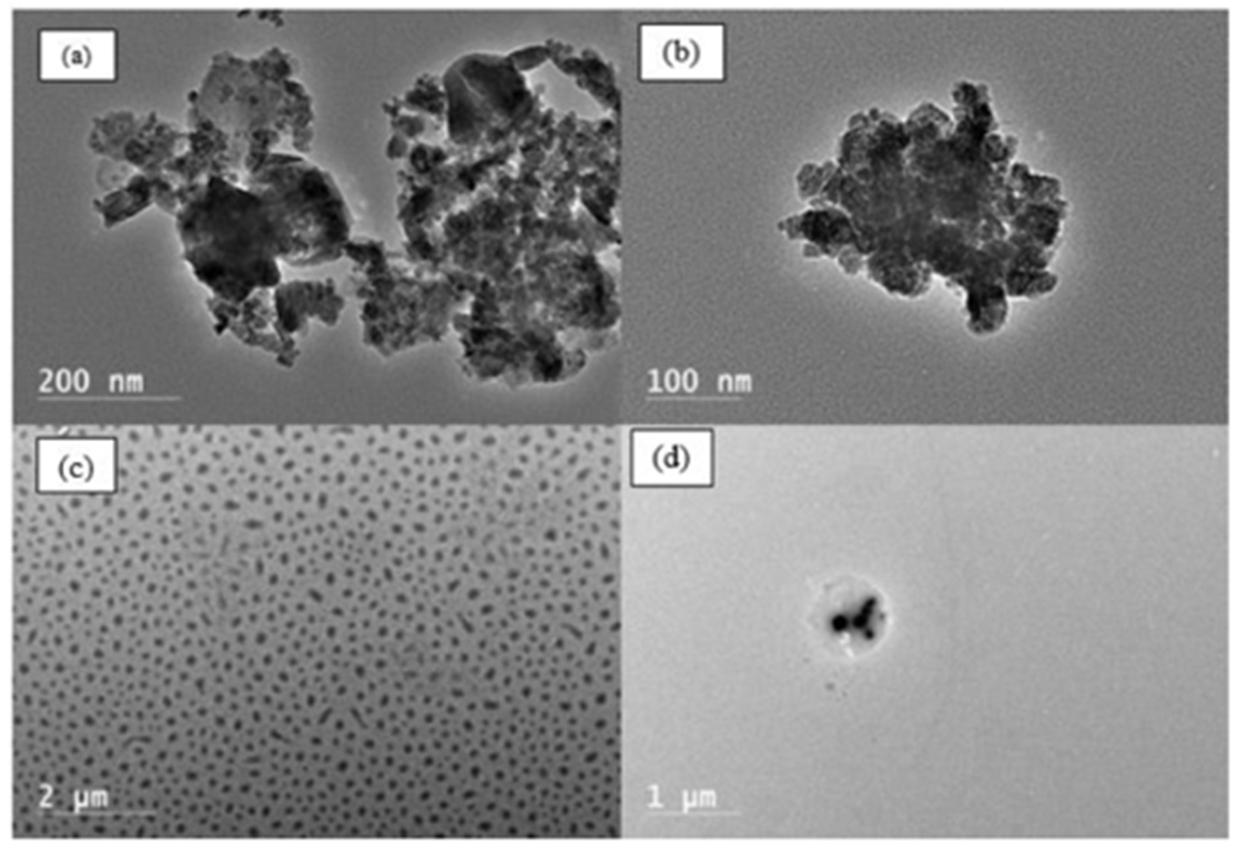 Preprints 160102 g003