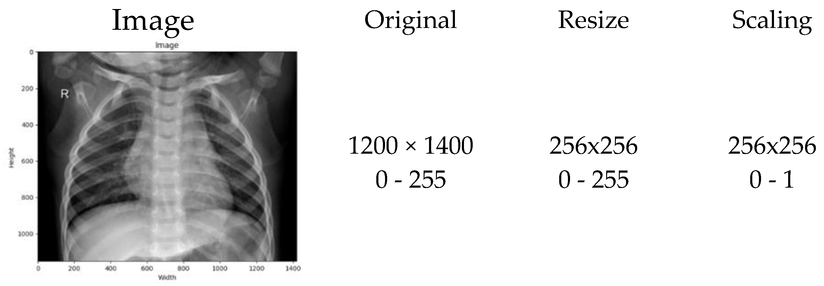 Preprints 180406 g001
