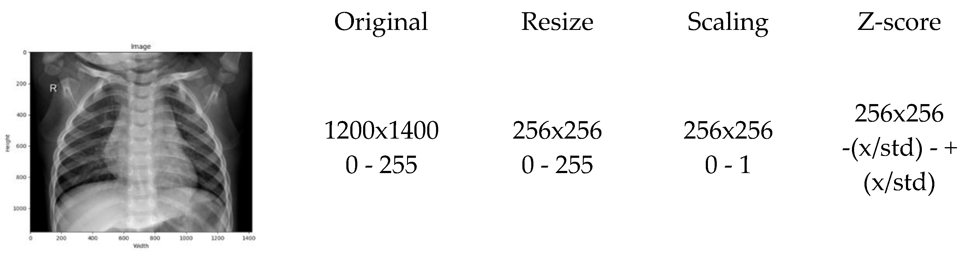 Preprints 180406 g002