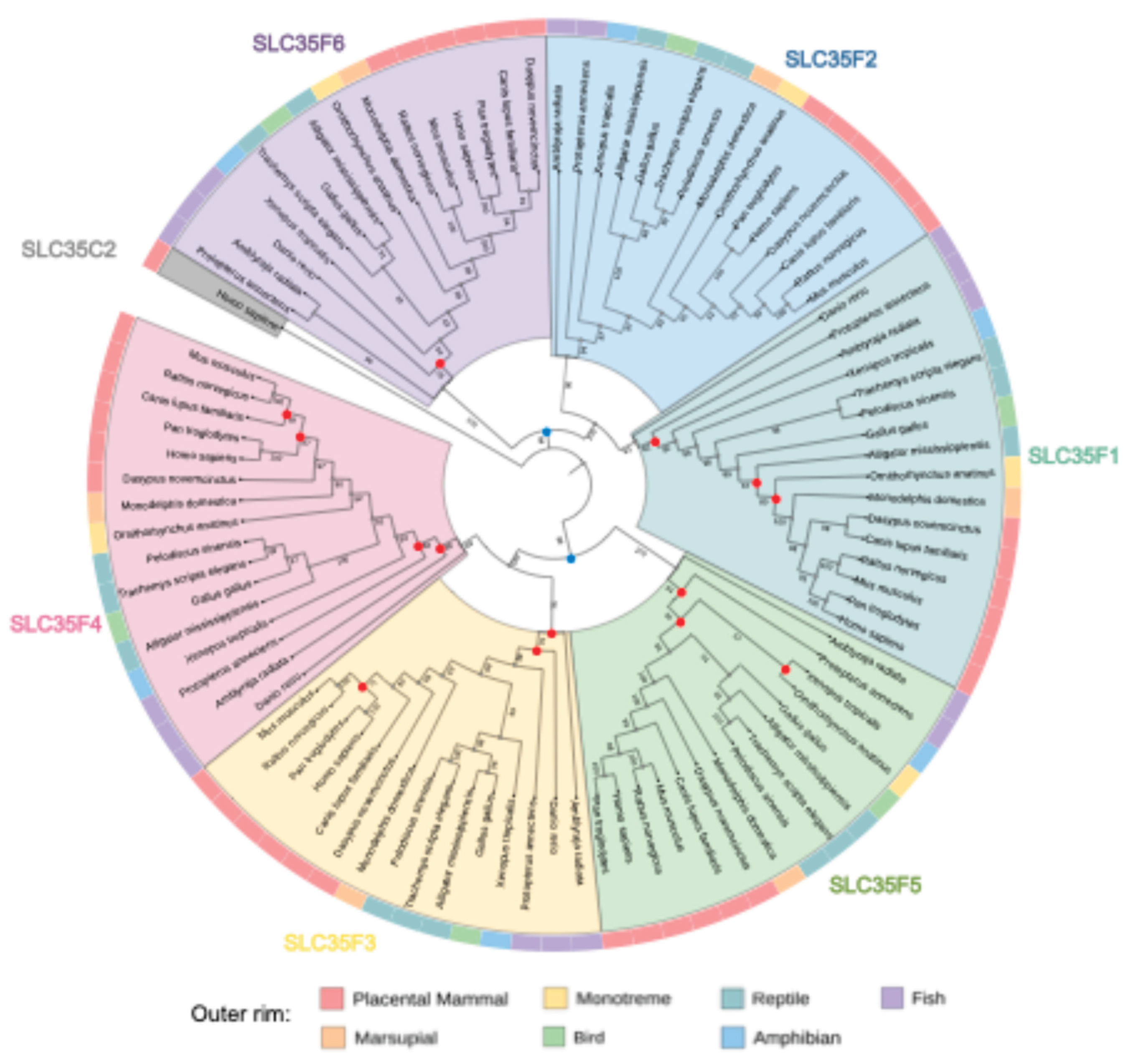 Preprints 187690 g001