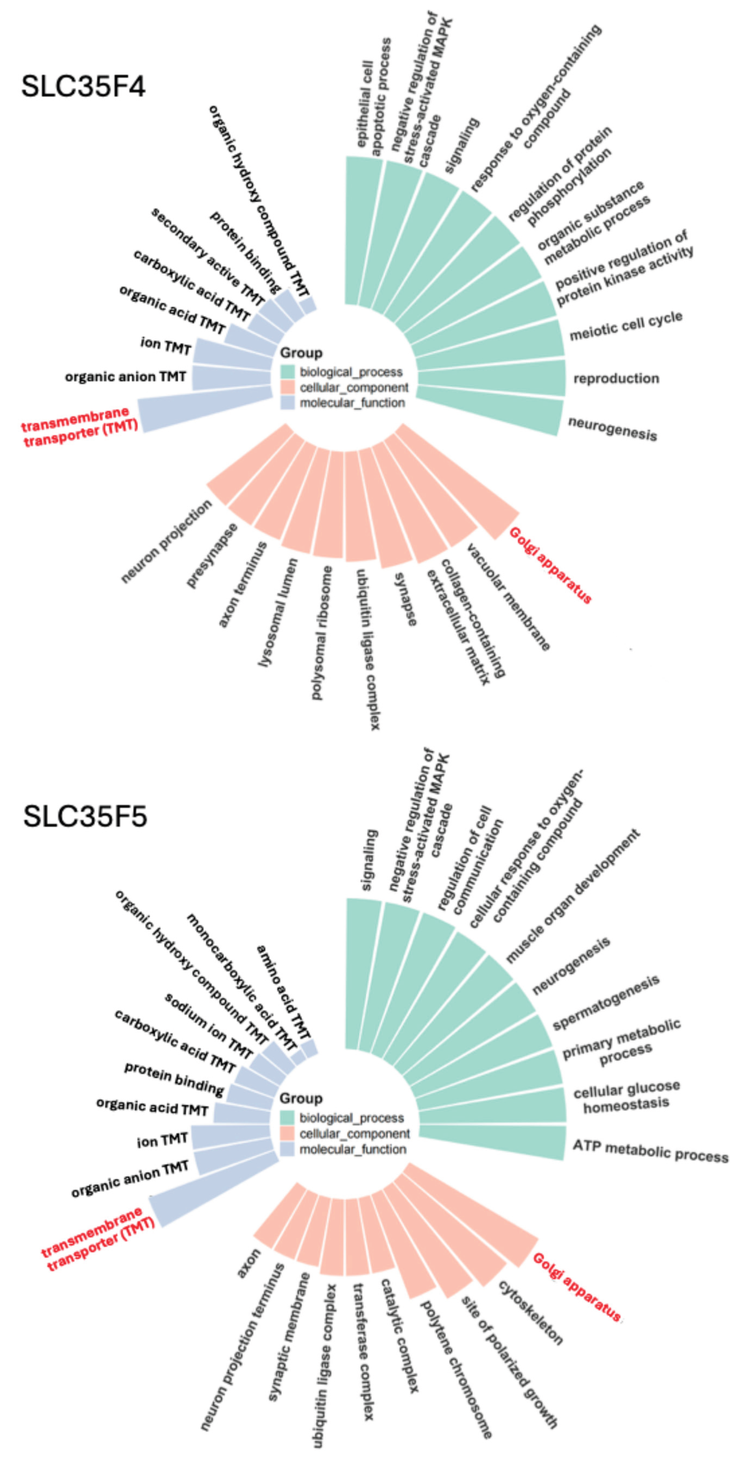 Preprints 187690 g003