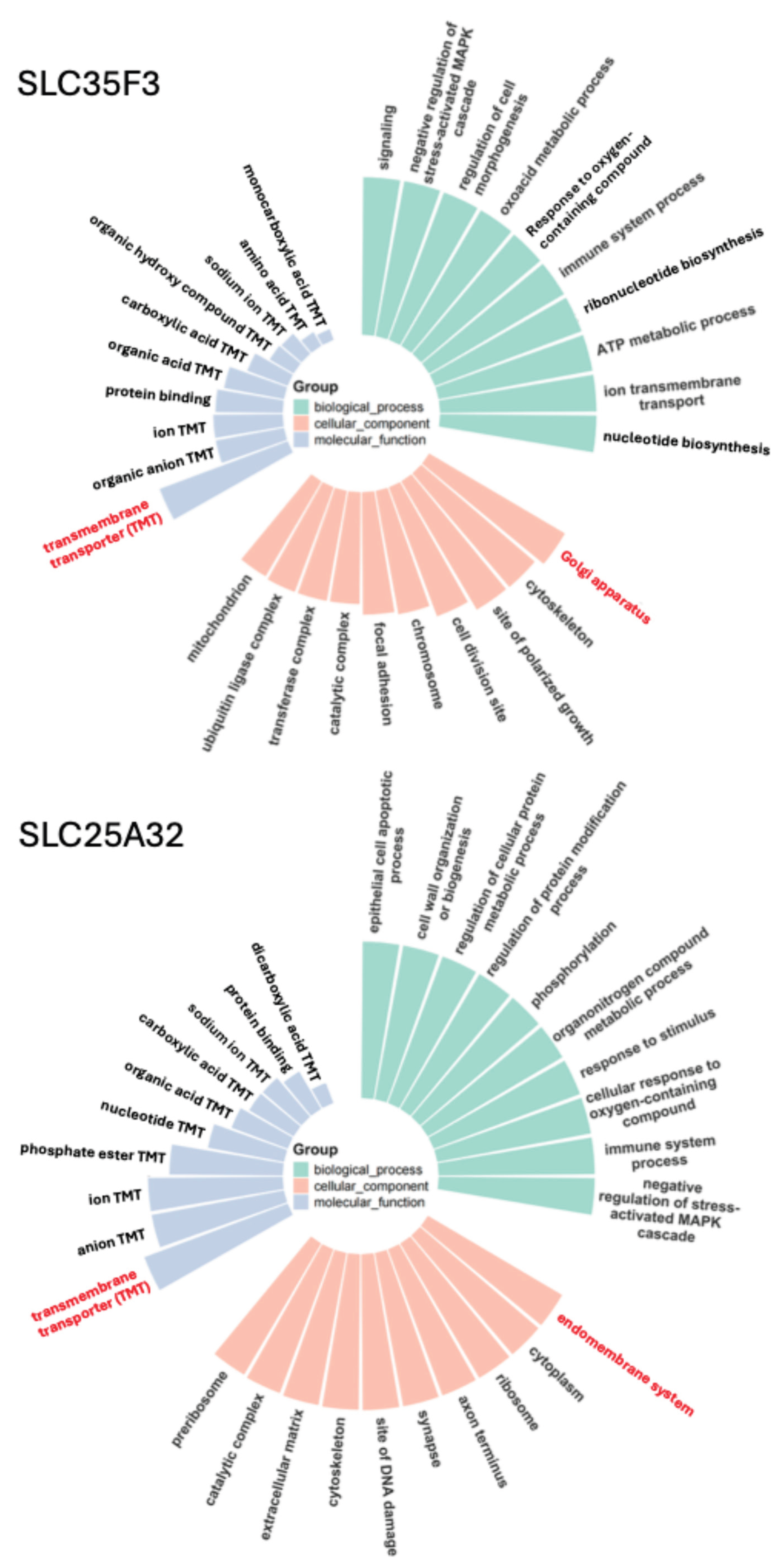 Preprints 187690 g004