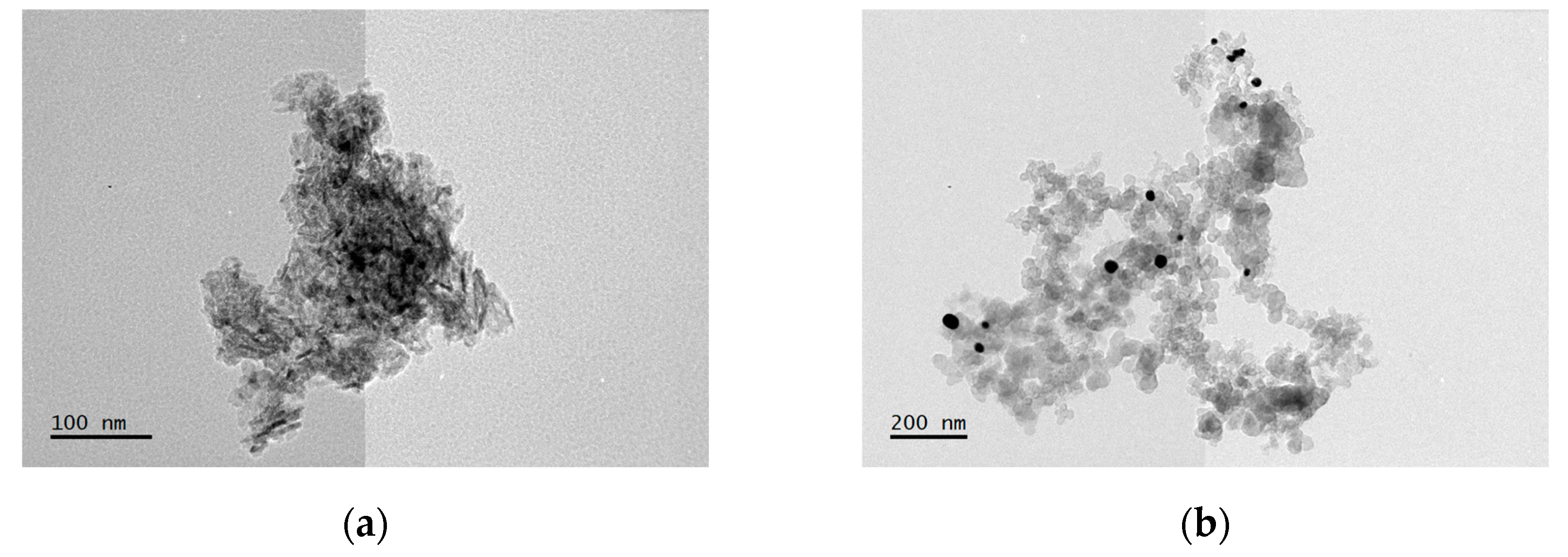 Preprints 97140 g005