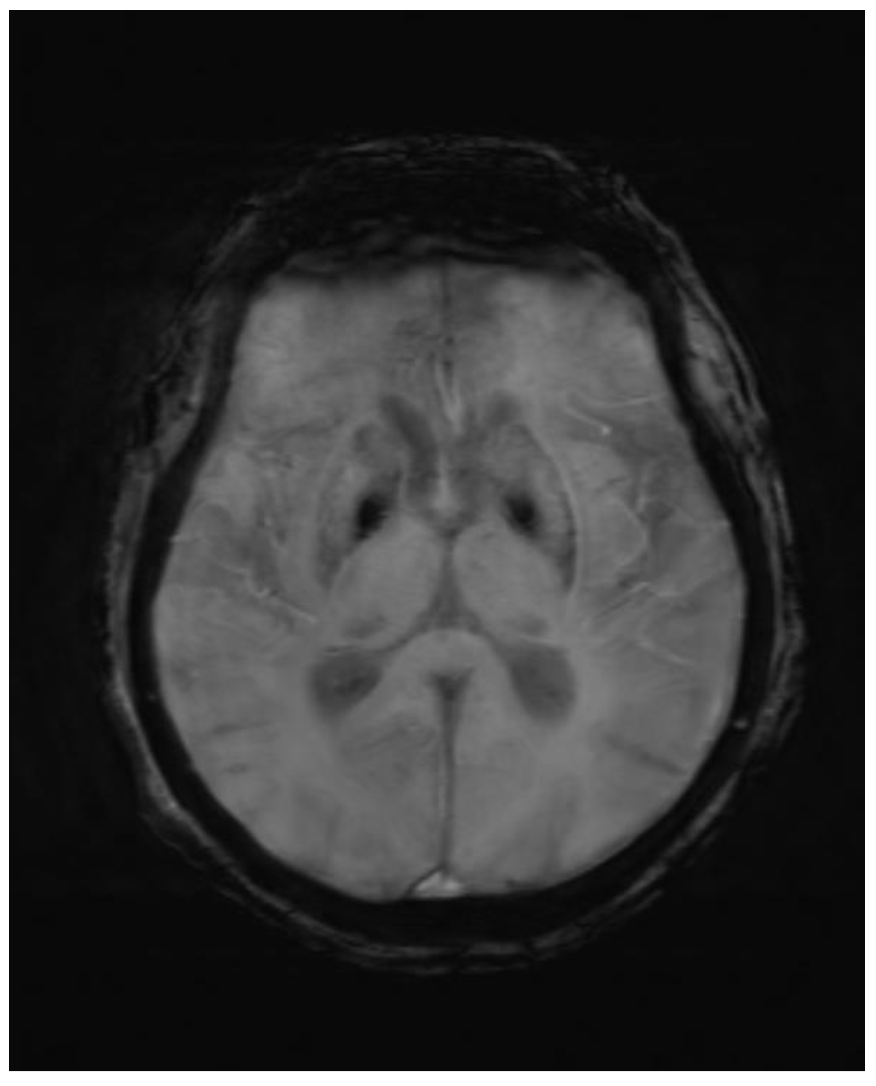 Preprints 94572 g001