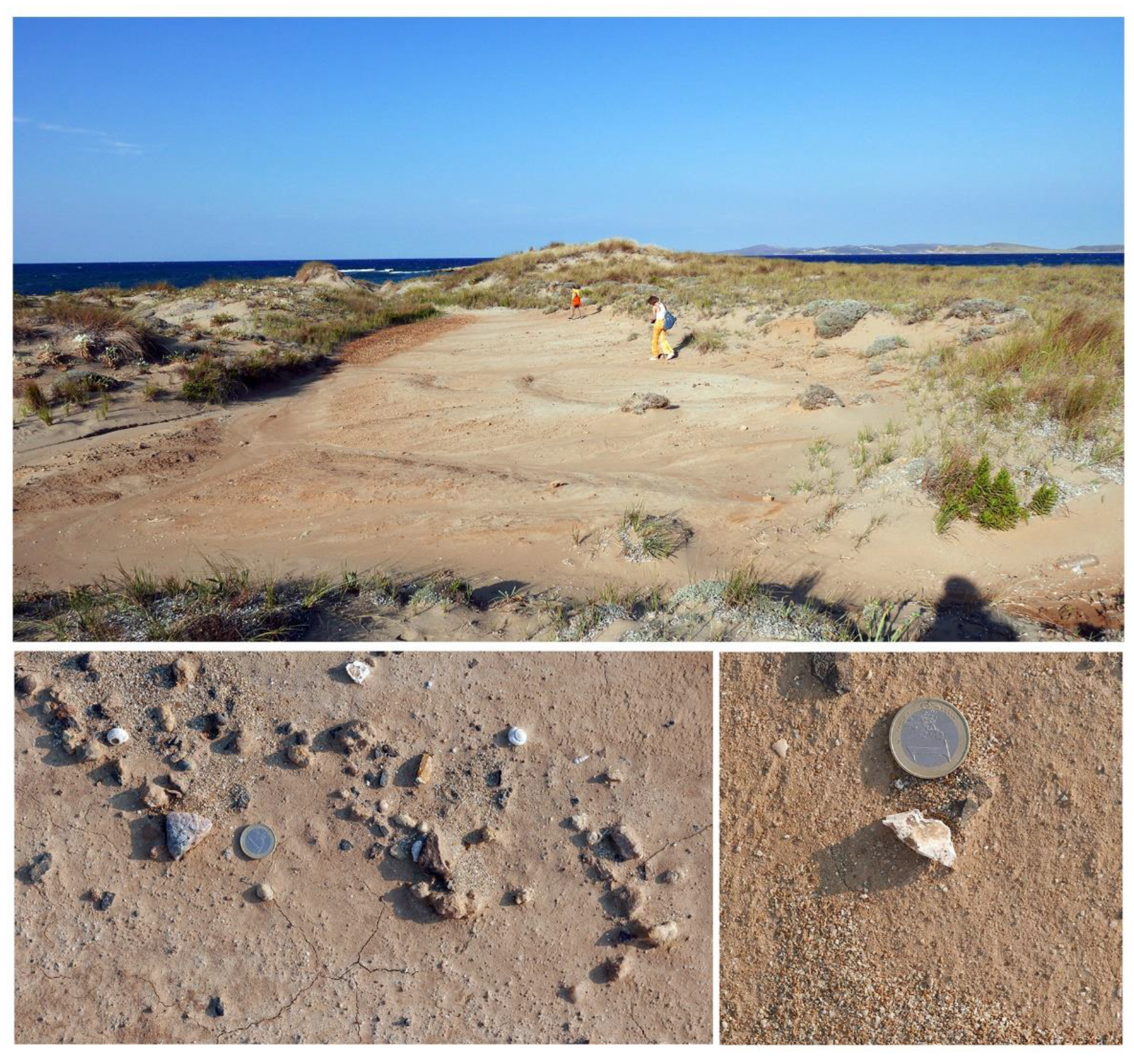 Preprints 152264 g002